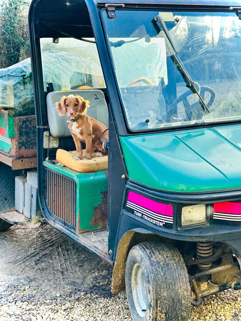 Chafor Wine Estate photo 2