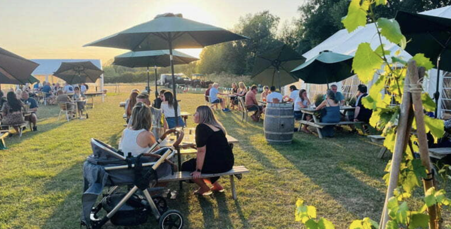 Chafor Wine Estate photo 3