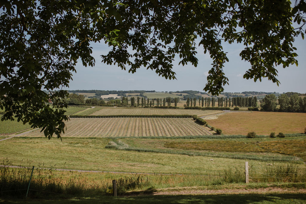 Charles Palmer Vineyards main photo