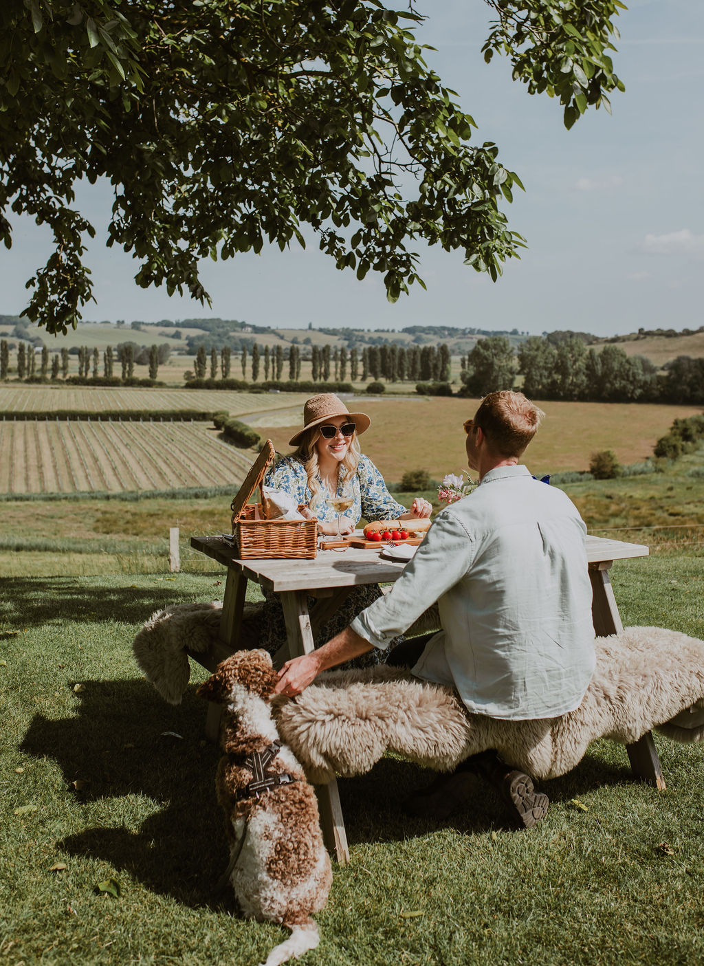 Charles Palmer Vineyards photo 4