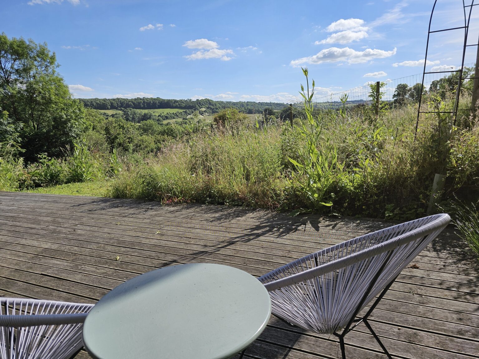 Combe Hay Vineyard photo 4