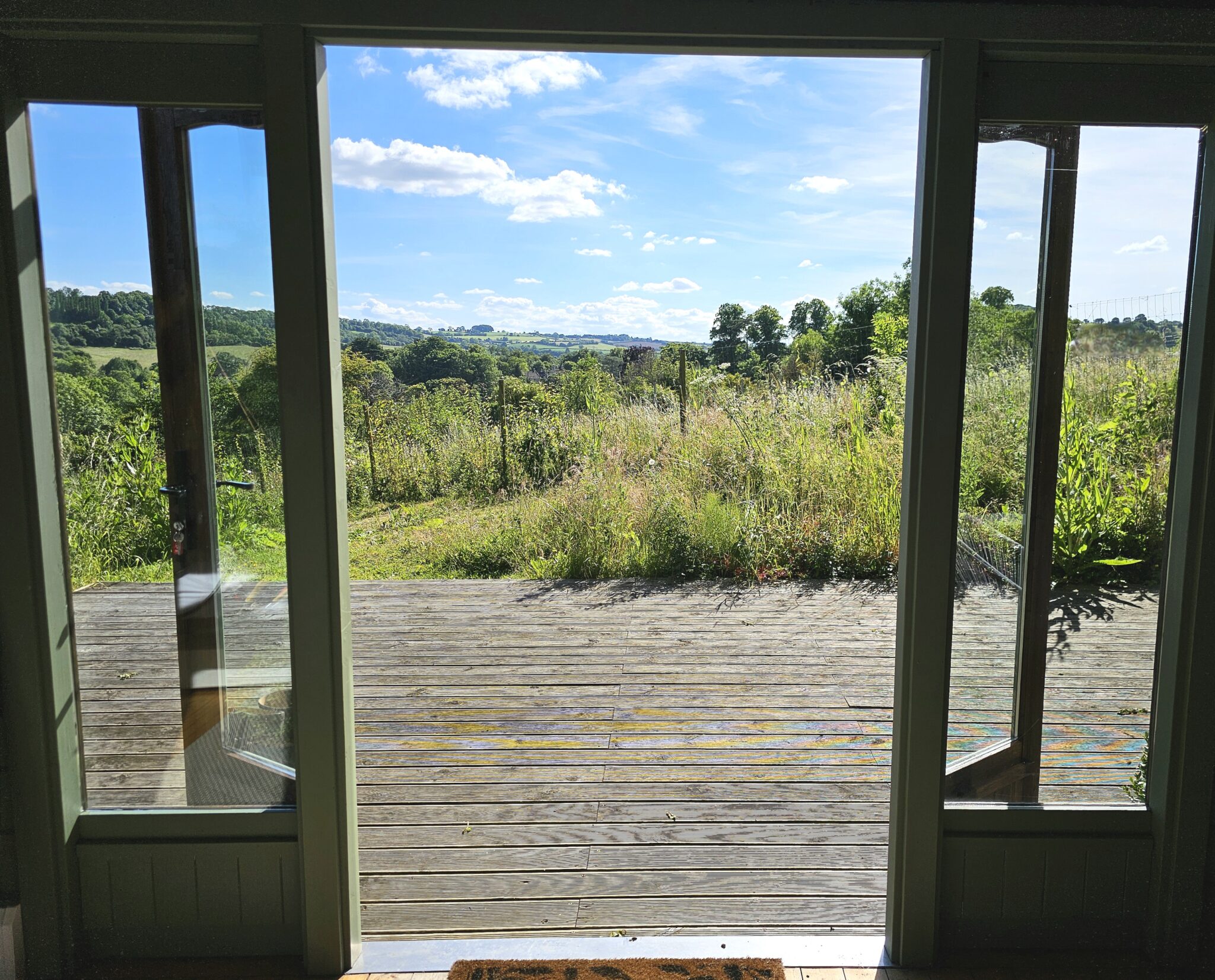 Combe Hay Vineyard photo 5