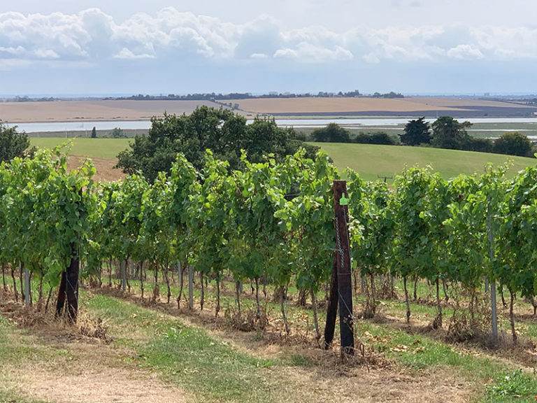 Crouch Ridge Estate photo 2