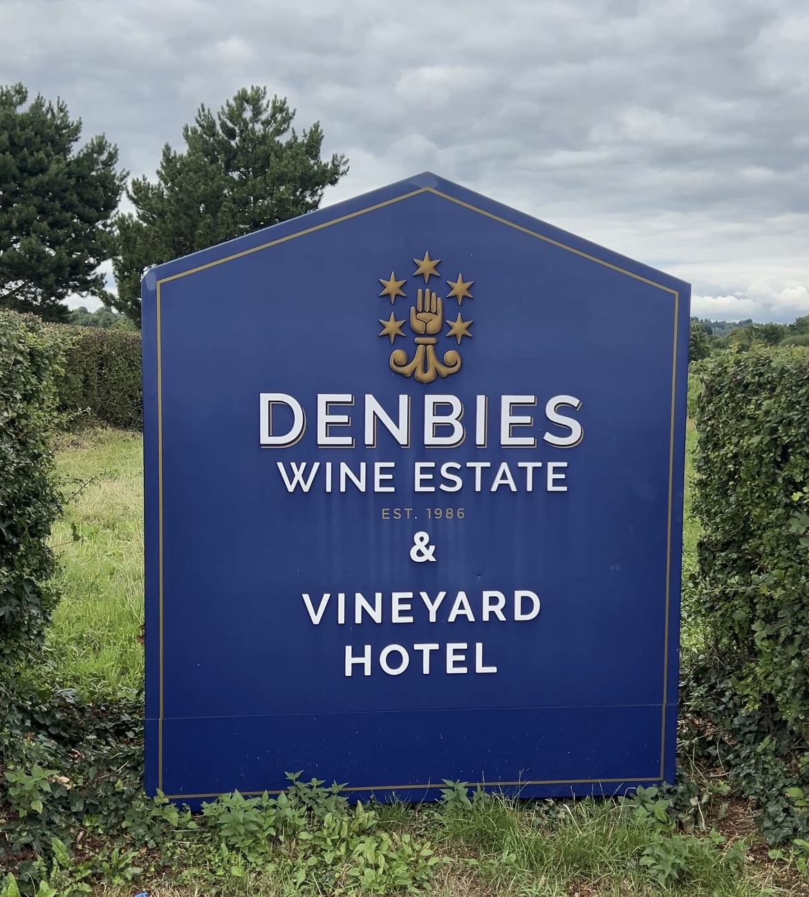 Best Vineyard Stays in Surrey | Vineyards with Accommodation