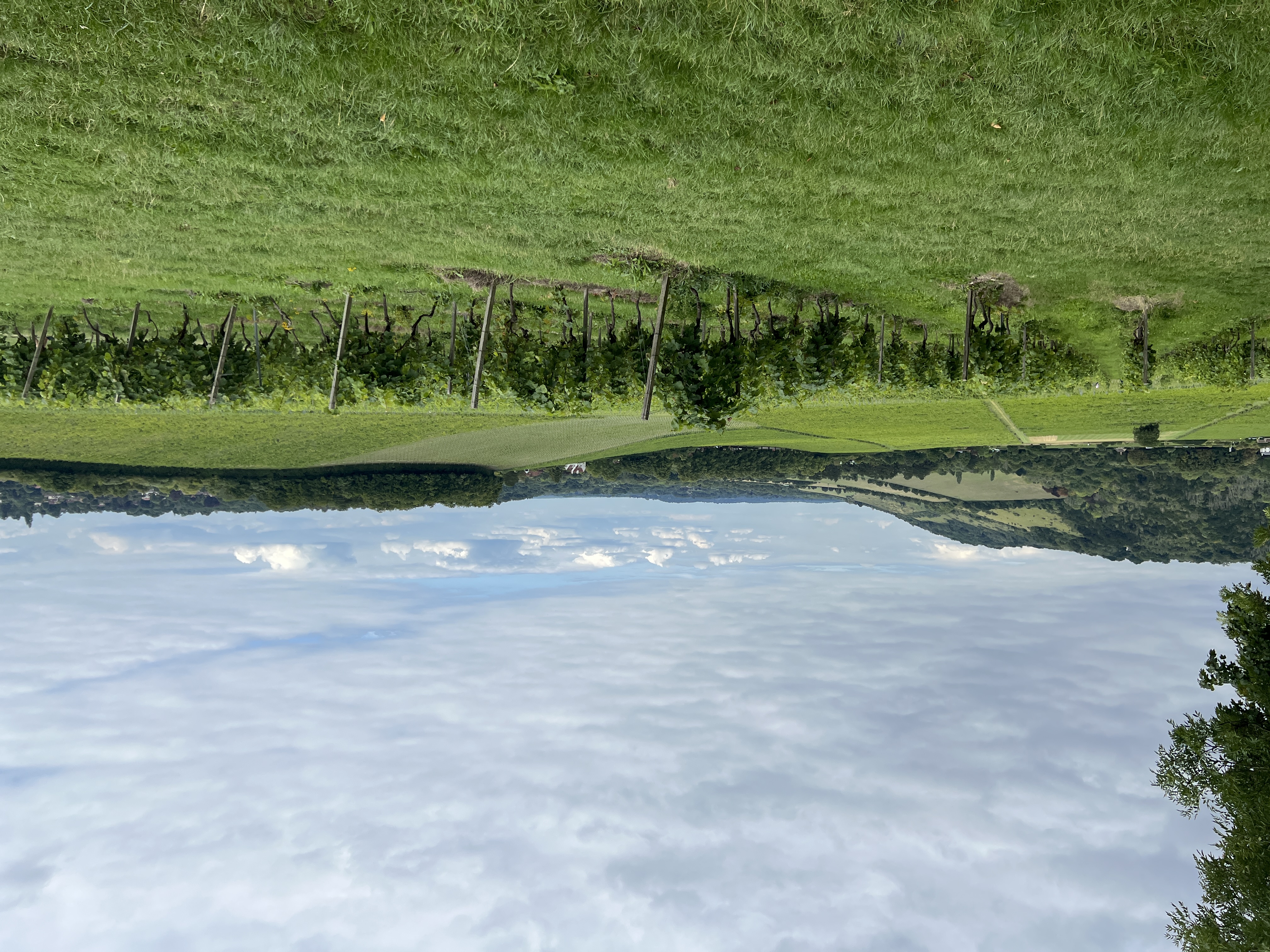 Archived News - September 19 2025