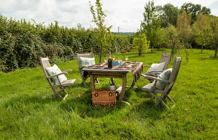 Downsview Vineyard photo 3