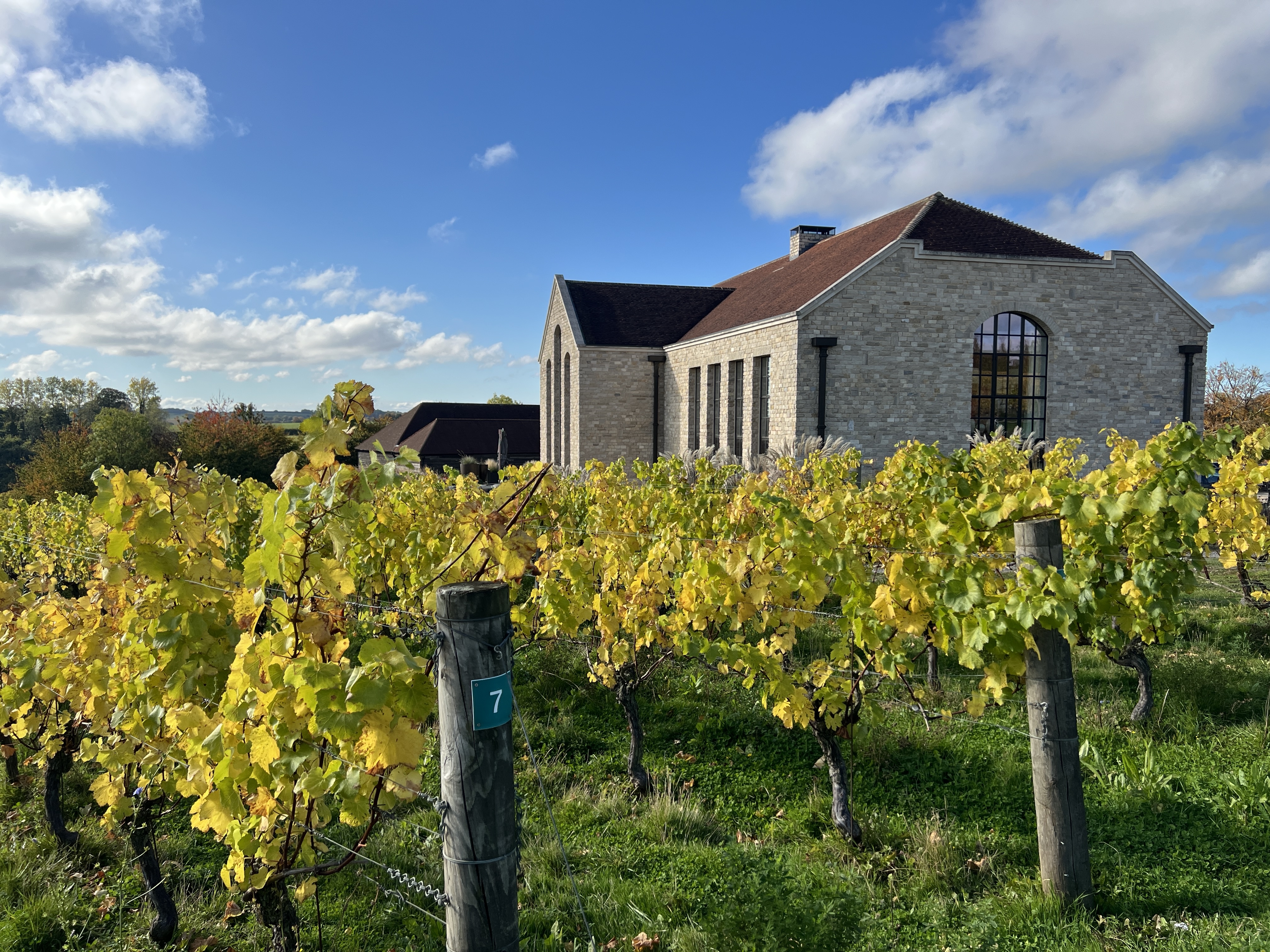 English Vineyards Worth Visiting | Vinebound Approved Vineyard Experiences