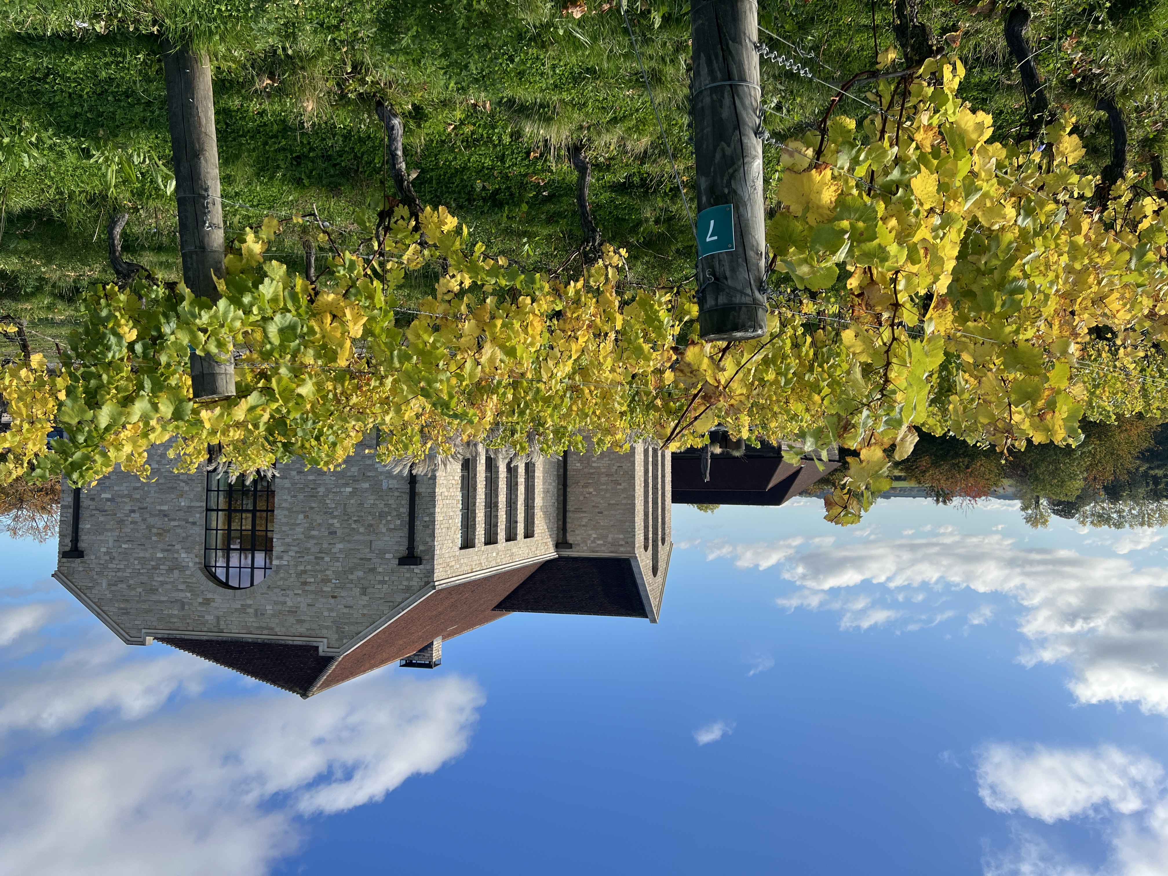 A view of Exton Park from the tasting room entrance