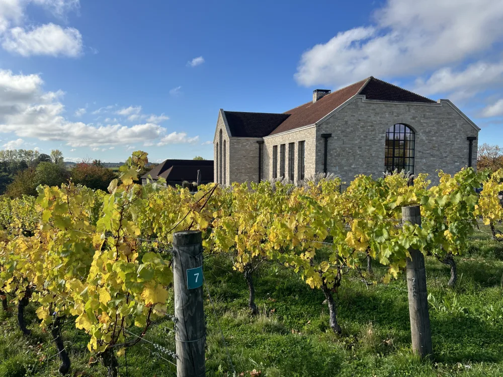 Exton Park vineyard, Hampshire