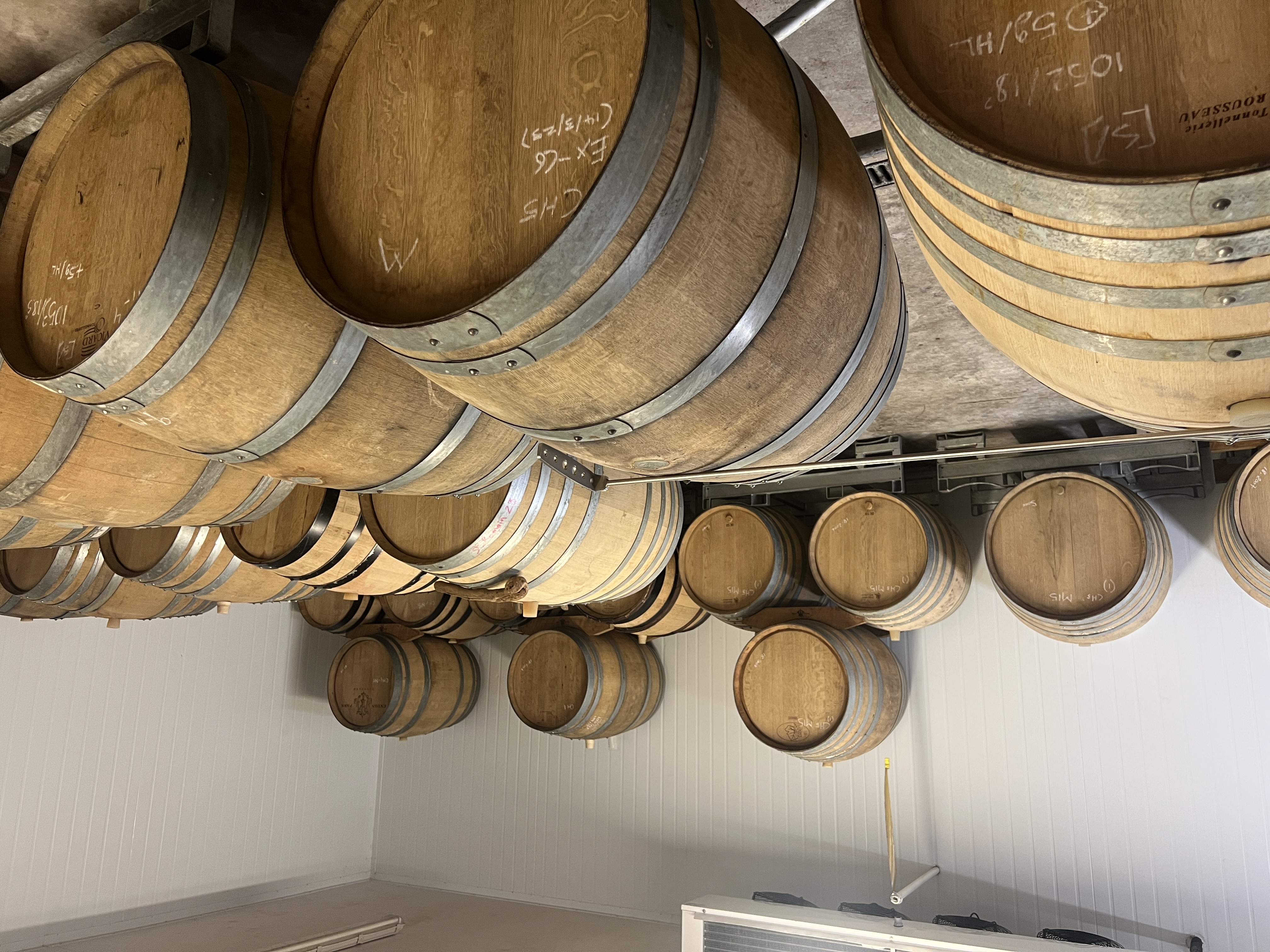 Exton Park Vineyard photo 4