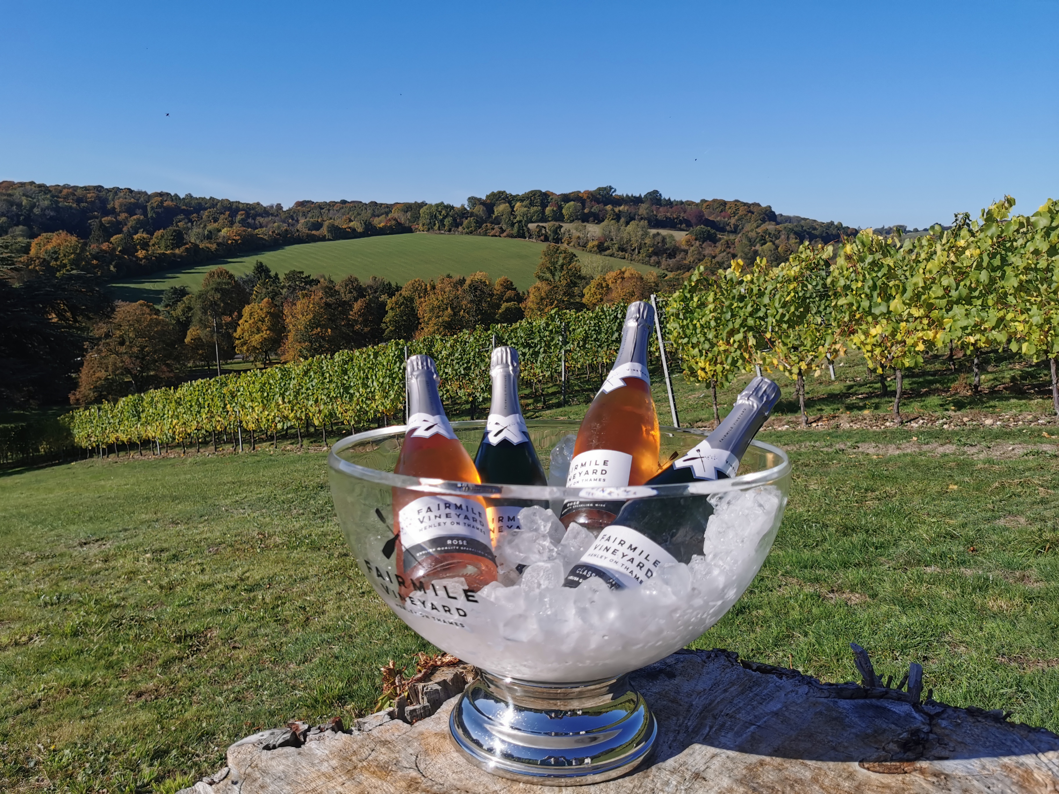 Fairmile Vineyard main photo