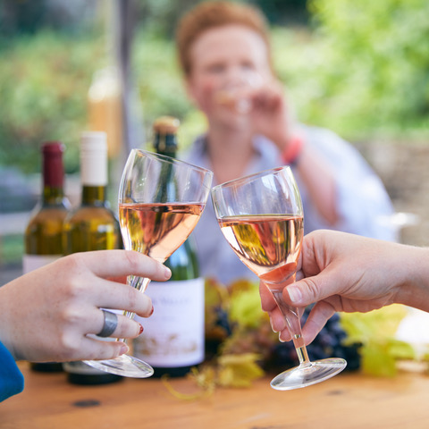 Frome Valley Vineyard photo 3