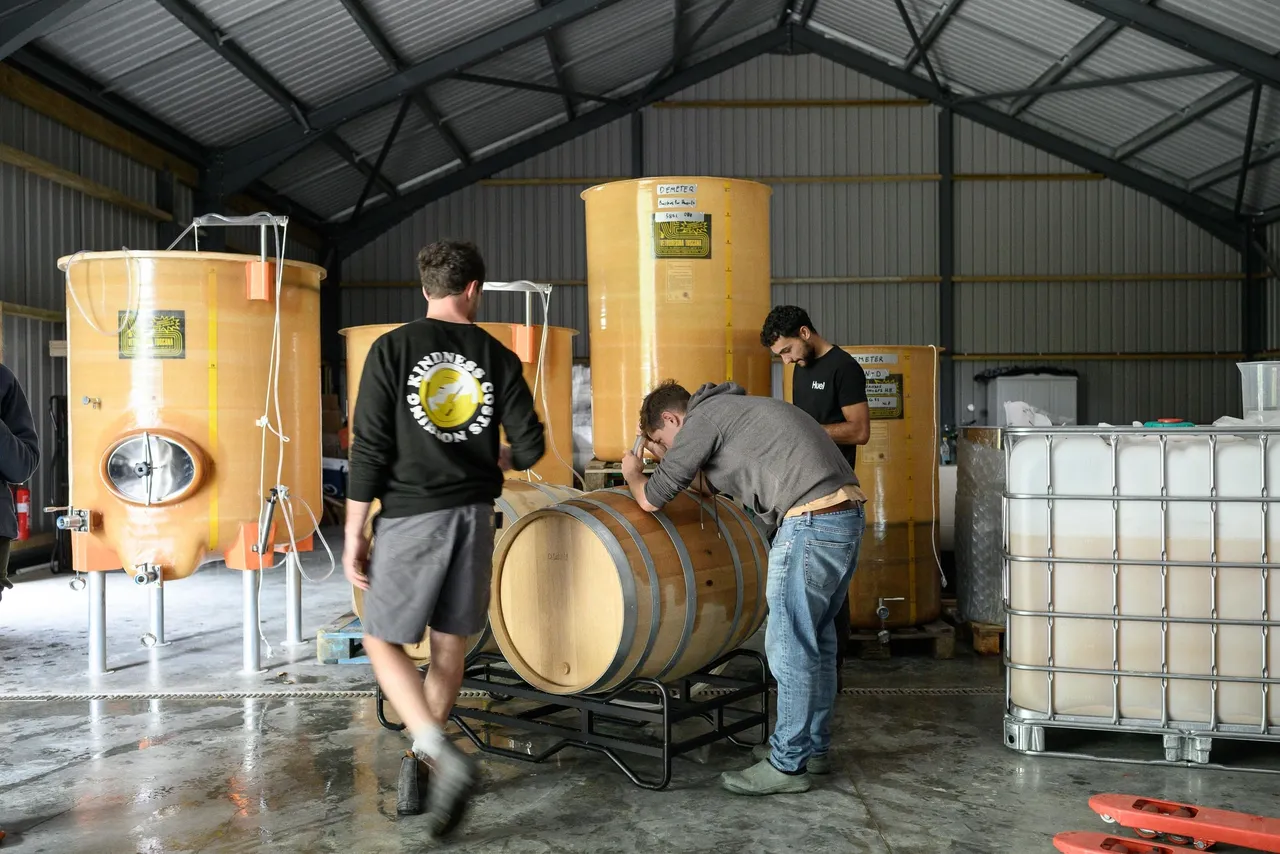 Ham Street Wines photo 2