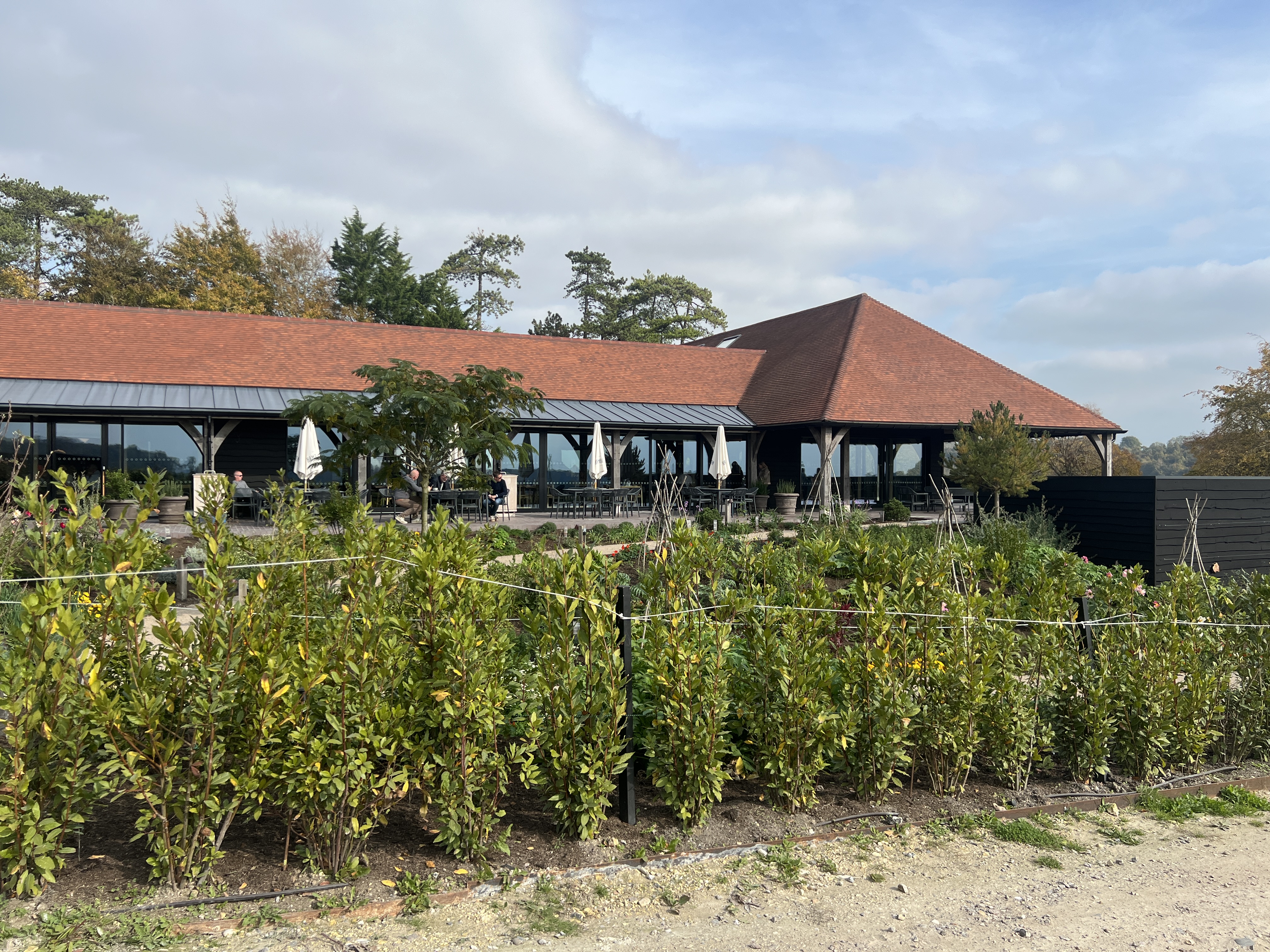 Hambledon Wine Estate main photo