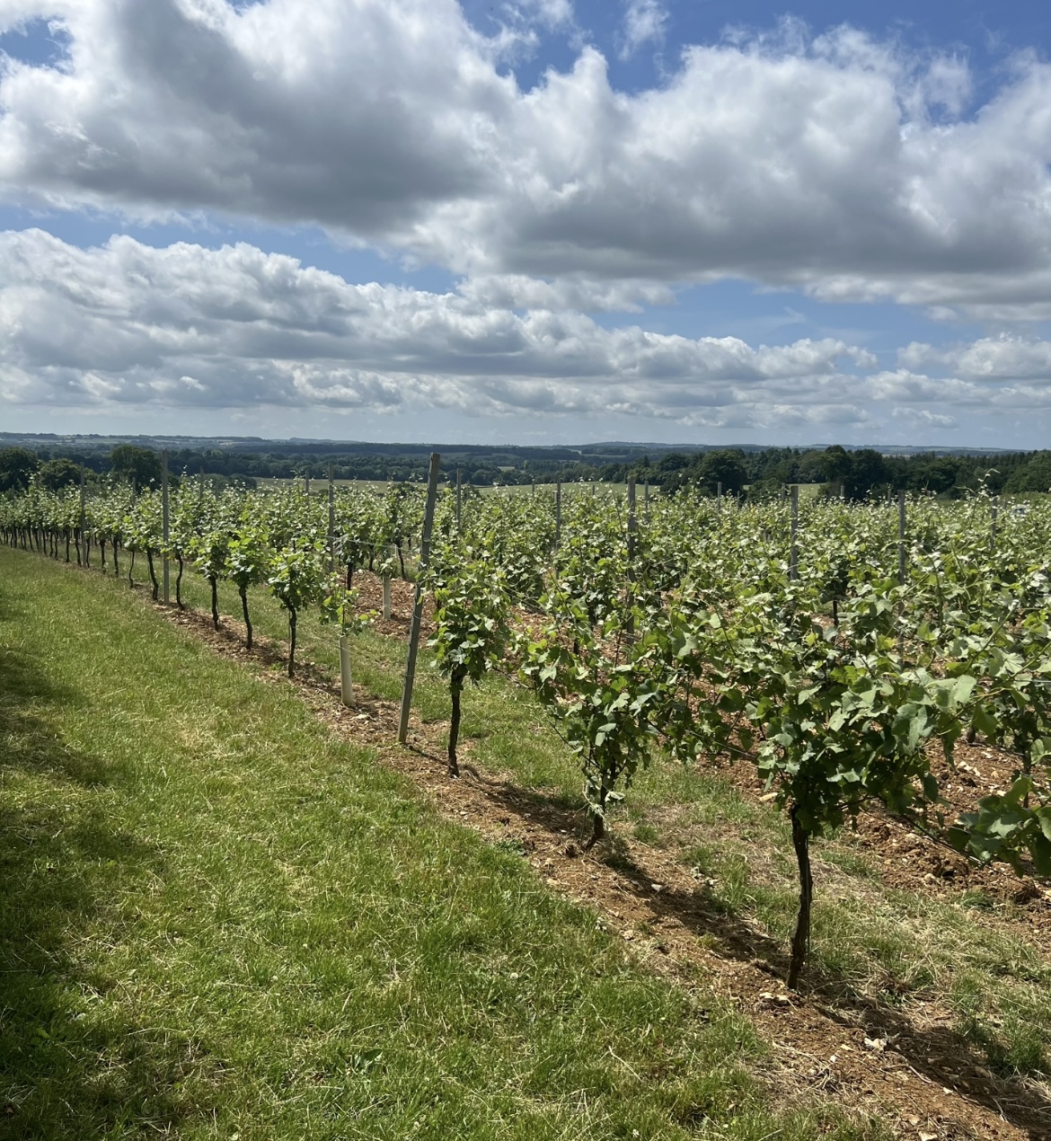 Hattingley Valley Wines main photo