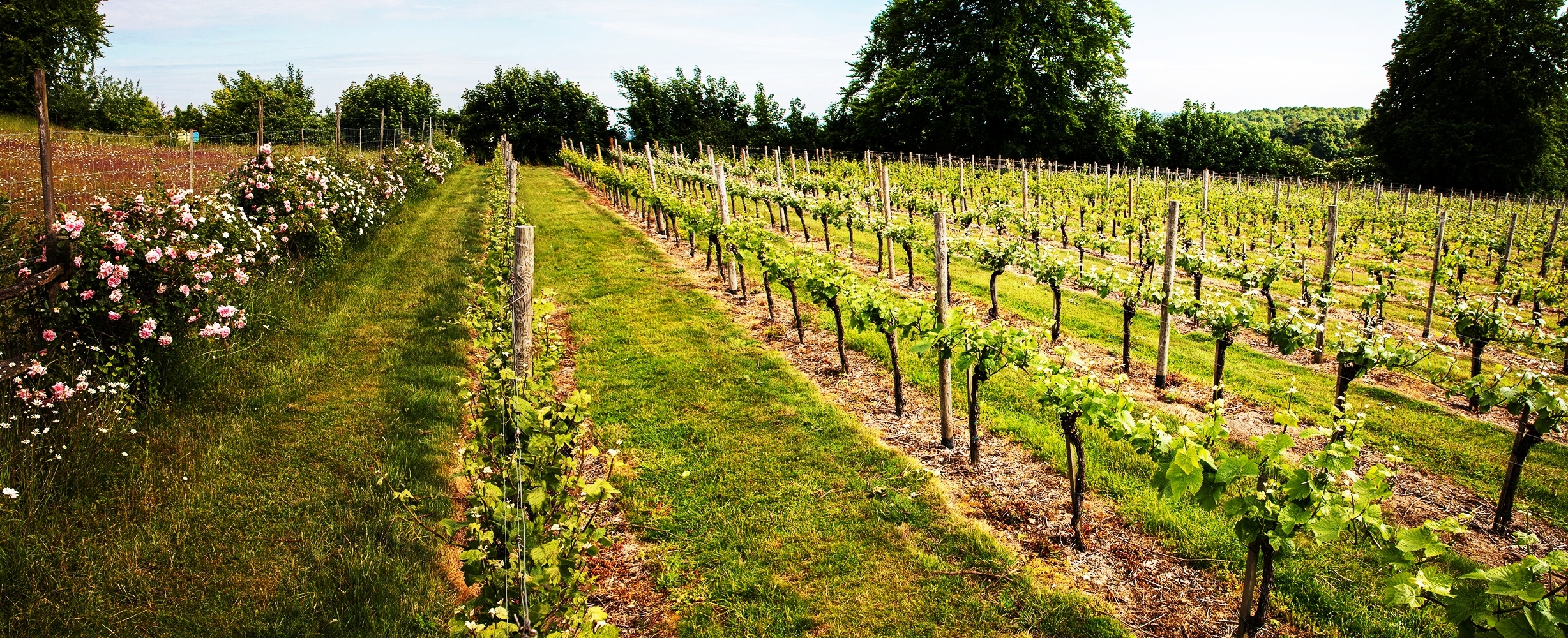 High Clandon photo 2