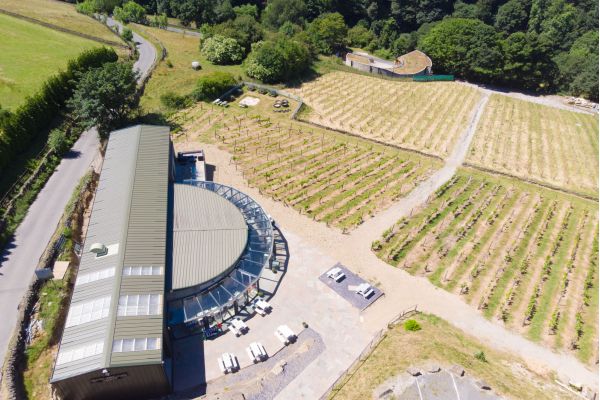 Sheveling Wine Estate At Holmfirth Vineyard main photo