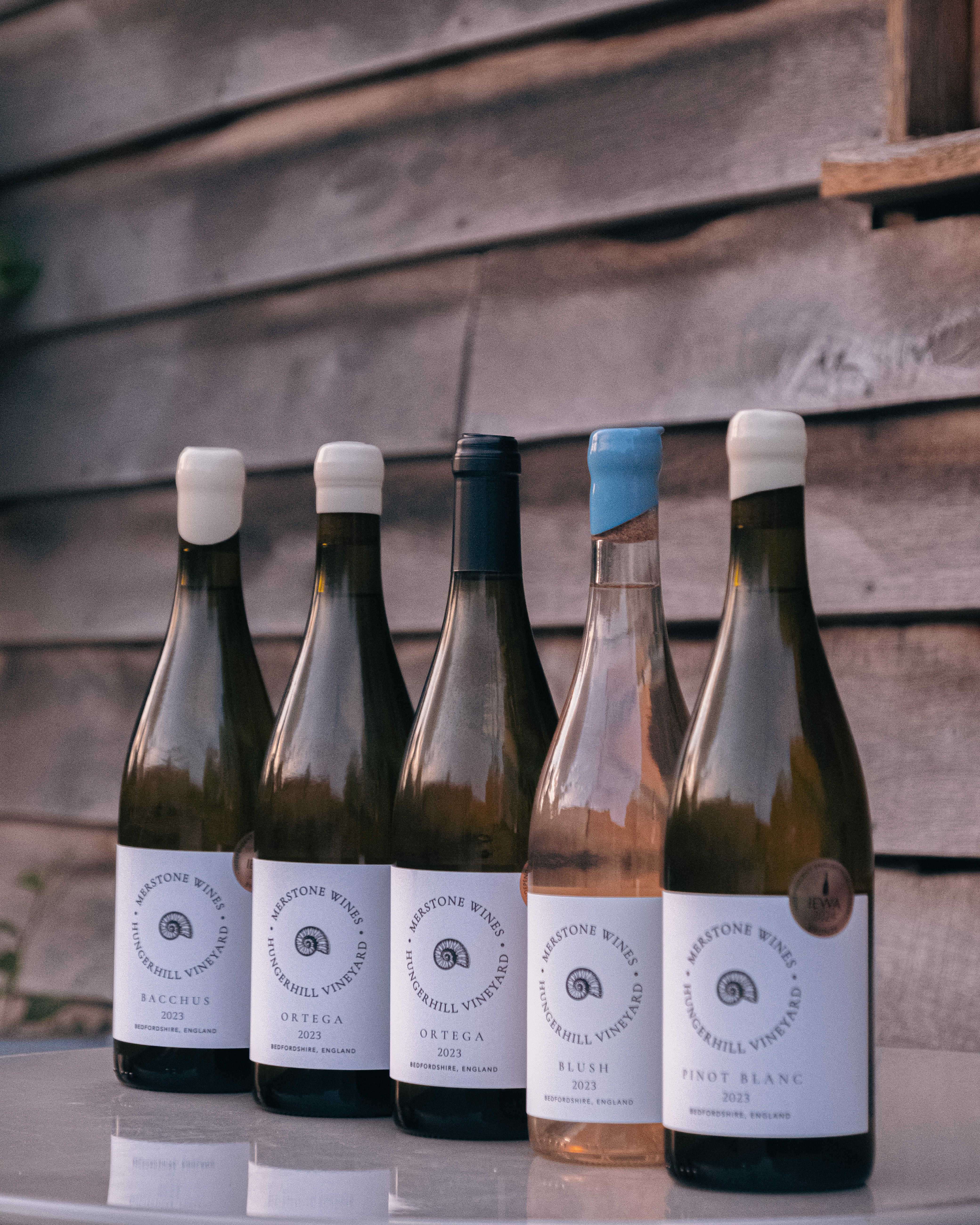 Hungerhill Vineyard photo 3