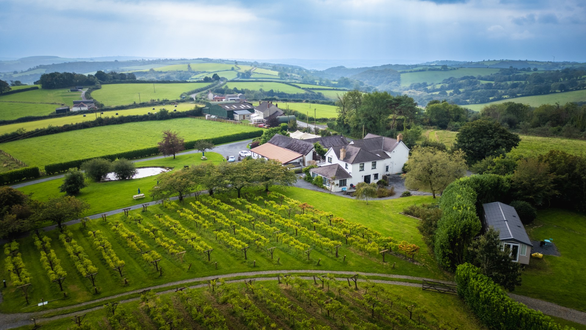 Jabajak Vineyard main photo