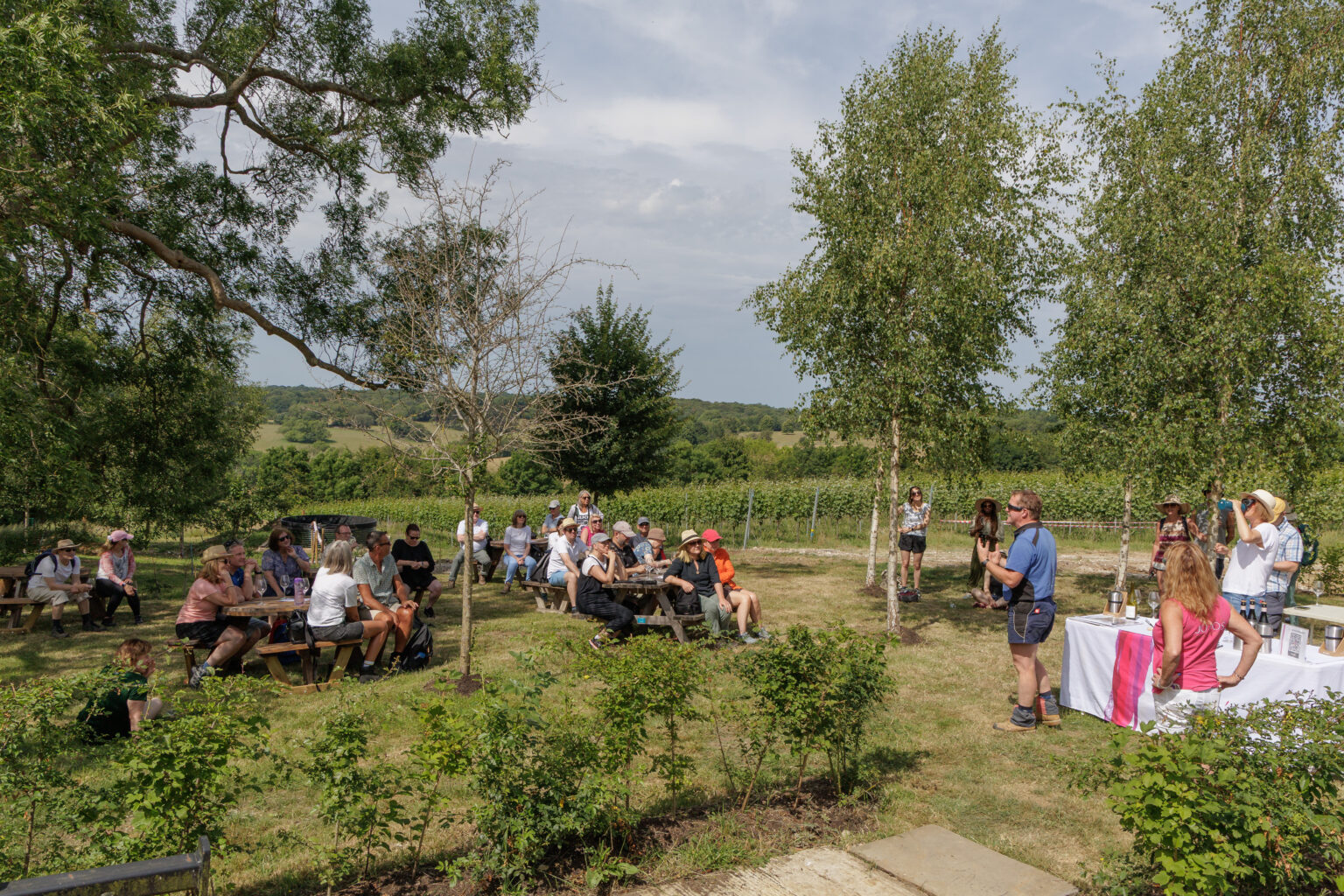 JoJo's Vineyard main photo