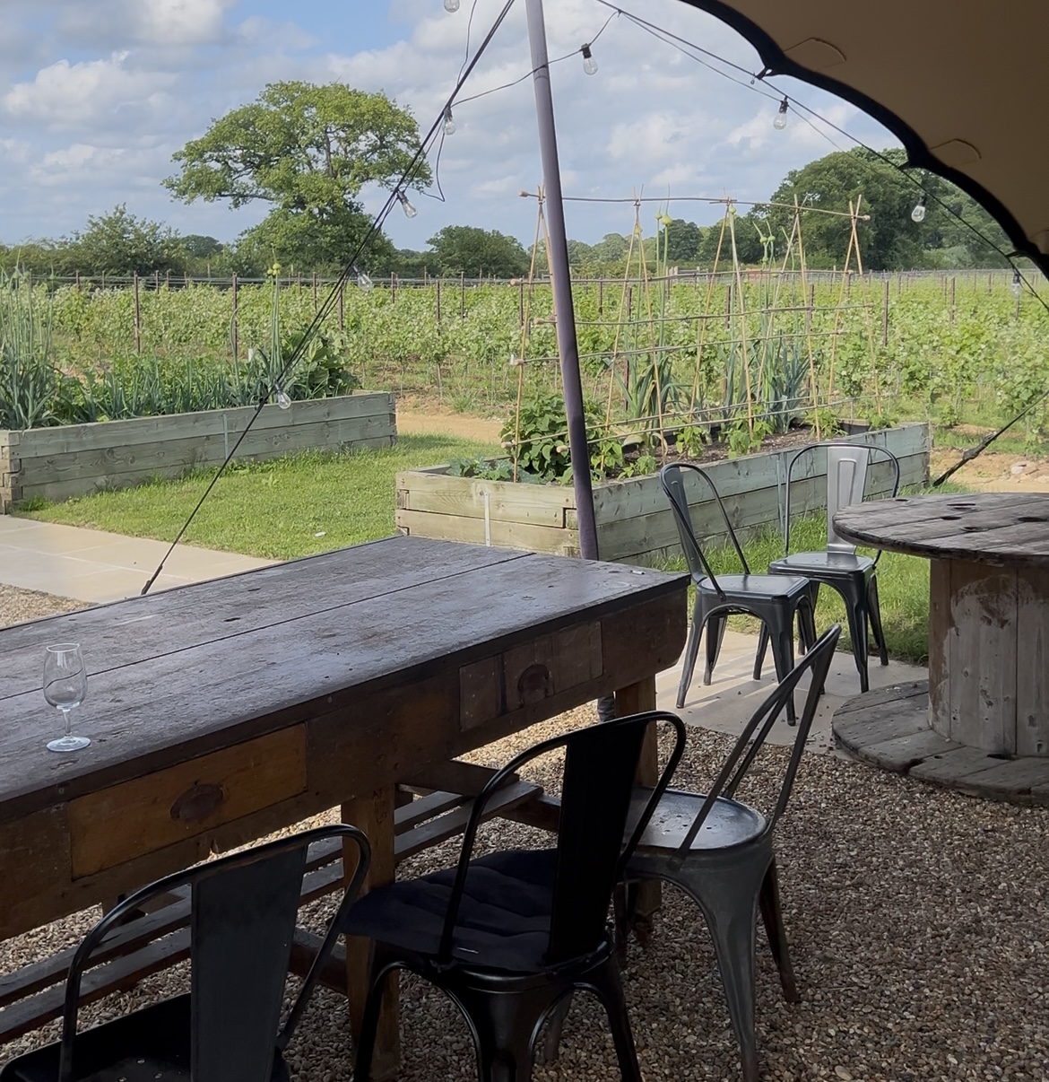 Kinsbrook Vineyard photo 2