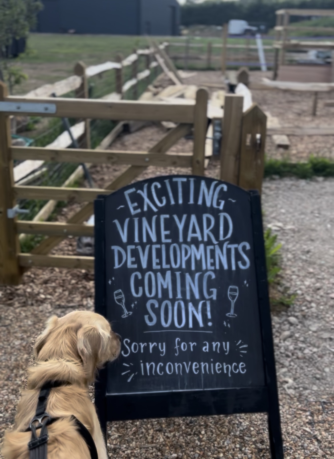Kinsbrook Vineyard photo 3
