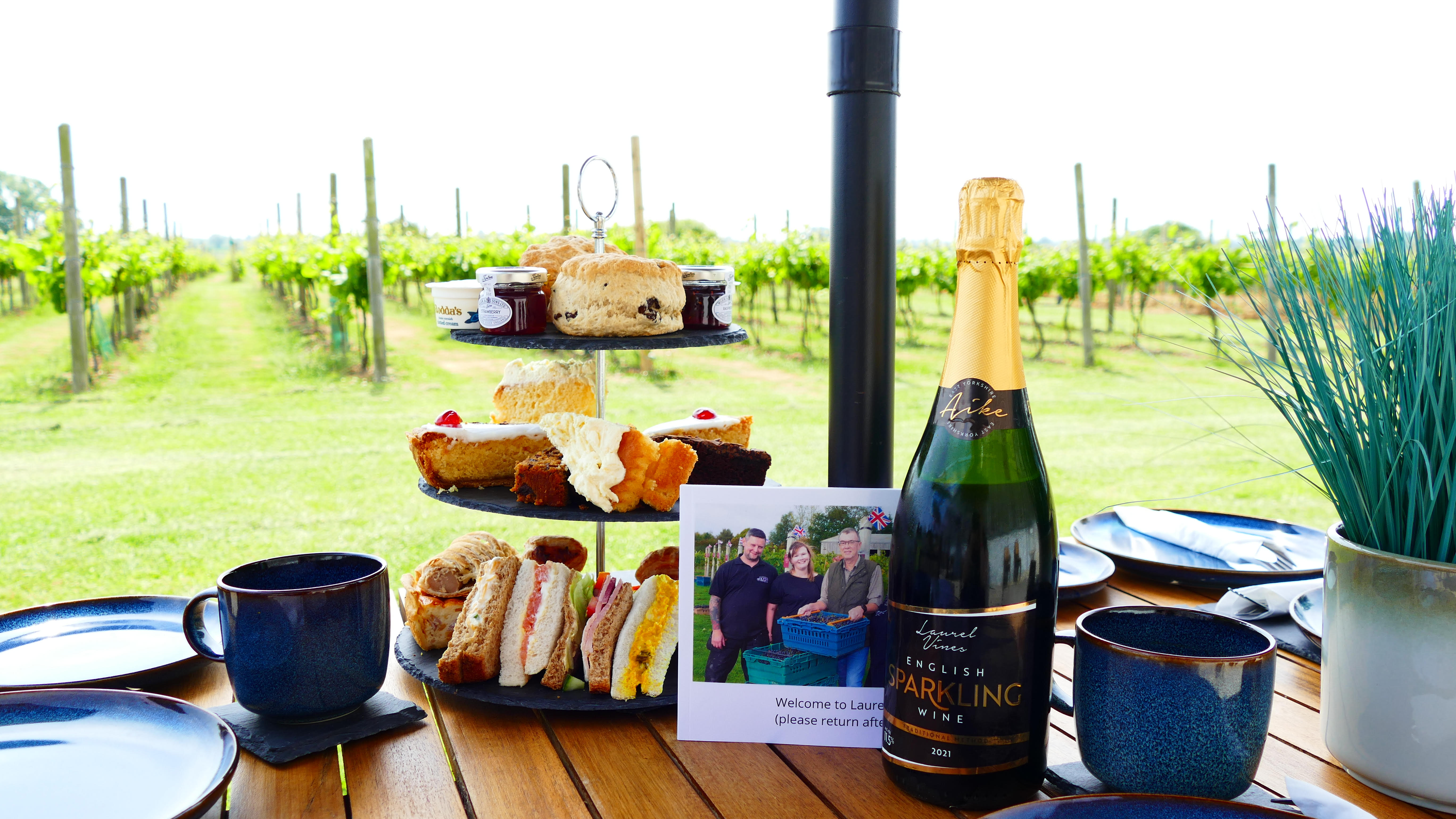 Laurel Vines, Vineyard & Winery photo 4