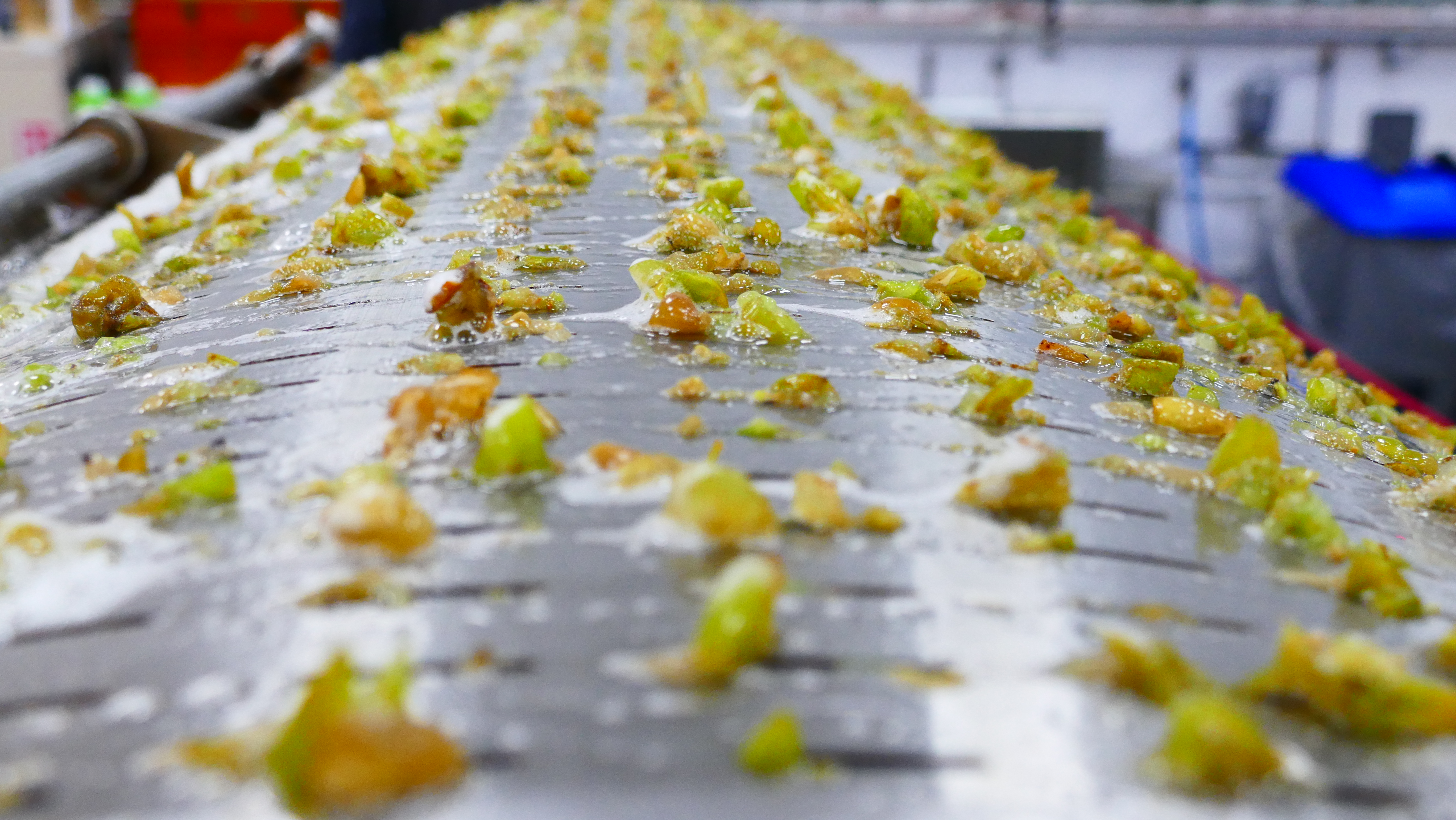 Laurel Vines, Vineyard & Winery photo 5