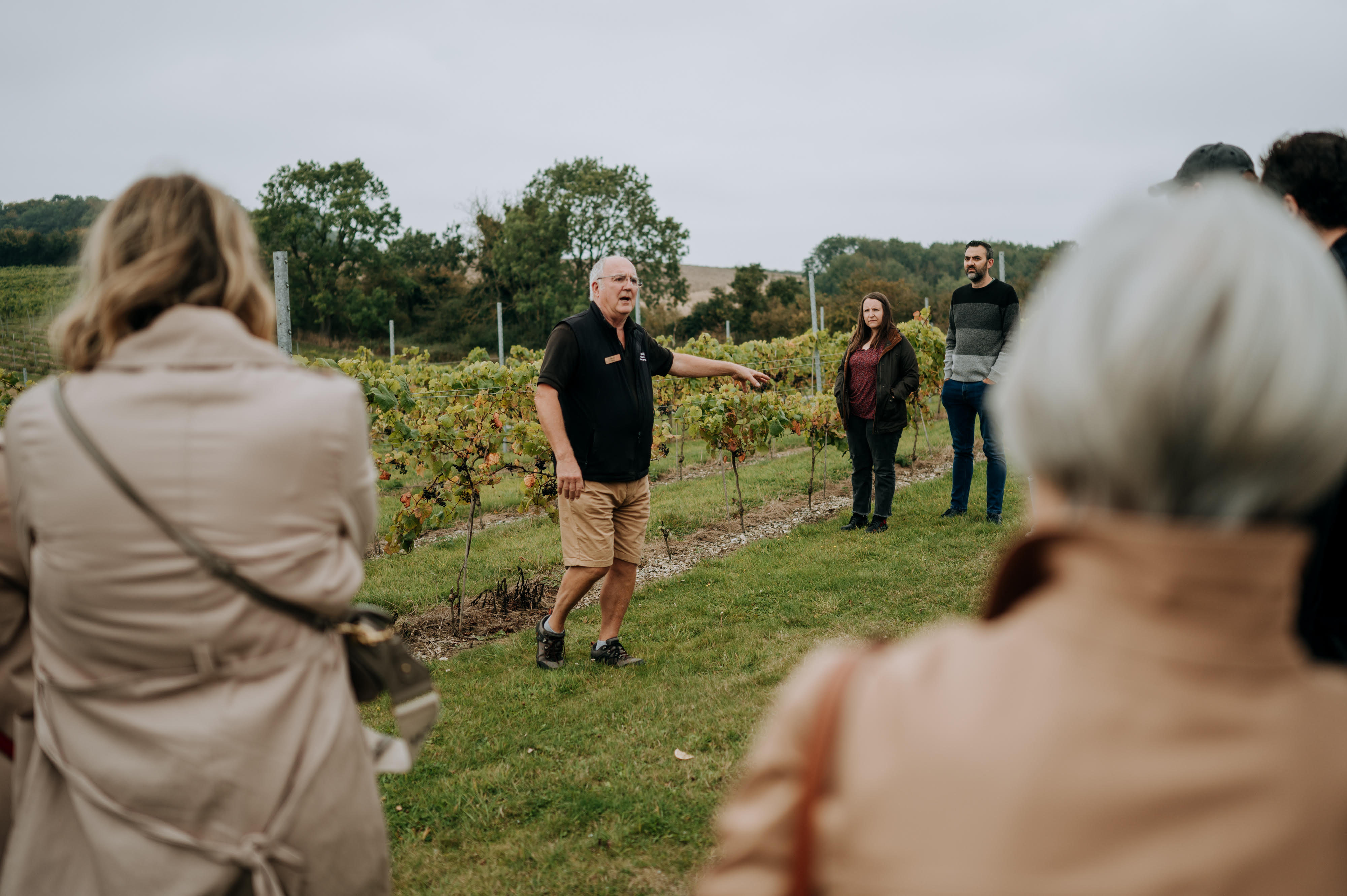 Little Wold Vineyard photo 2