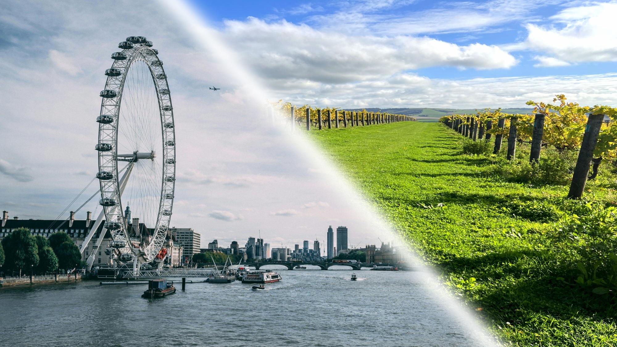 Planning a Vineyard Day Trip from London photo 1