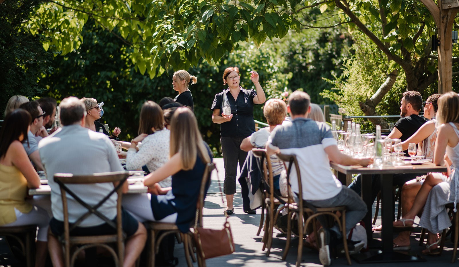 The Mount Vineyard main photo