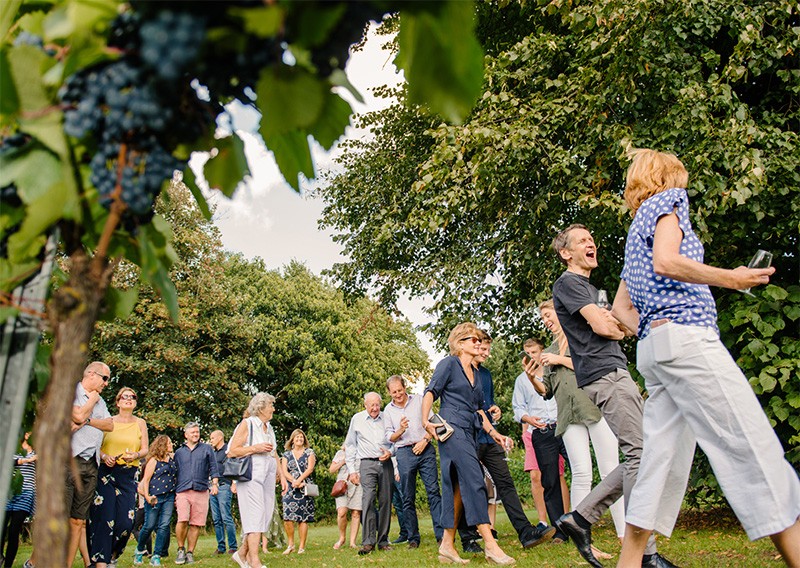 The Mount Vineyard photo 3