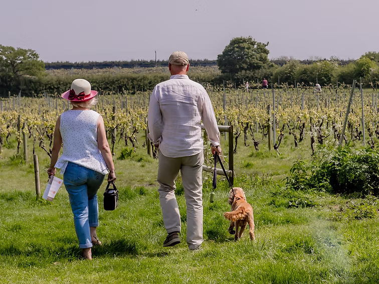 New Hall Vineyards main photo