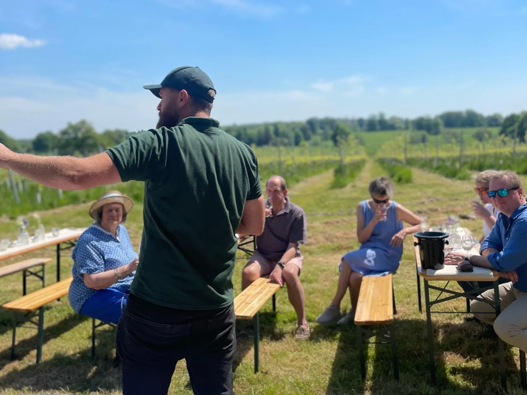 Nine Oaks Vineyard photo 2