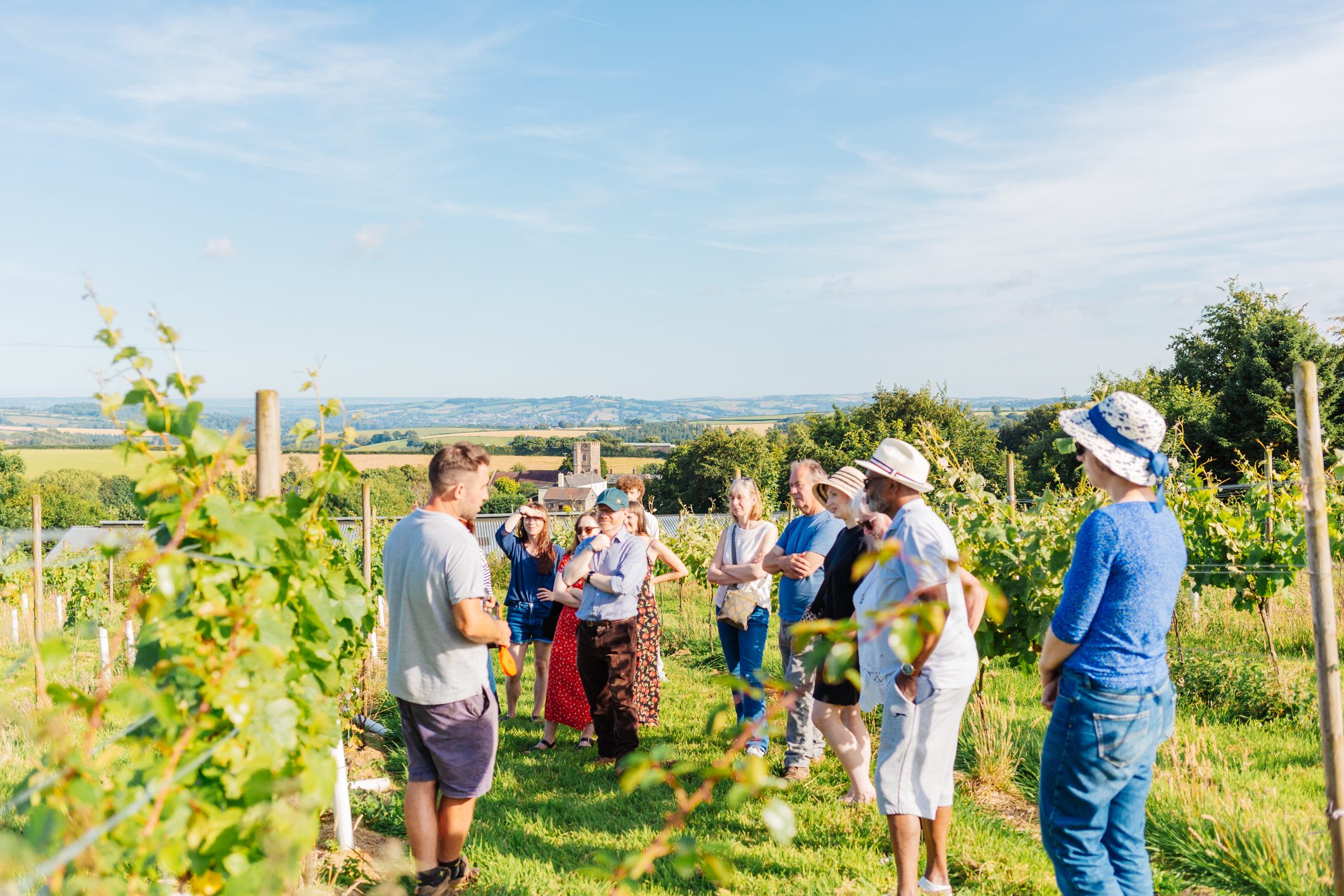 Quoit at Cross Vineyard photo 5