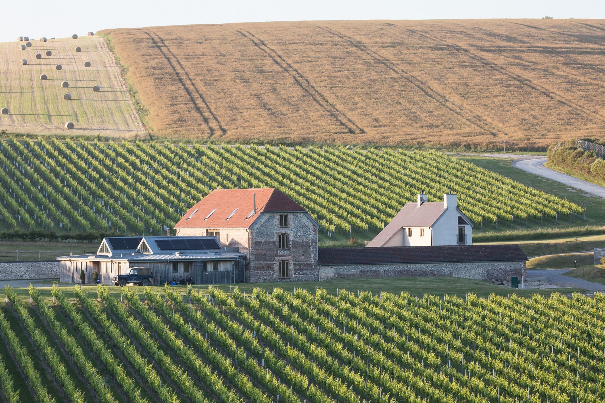 Rathfinny Wine Estate photo 3