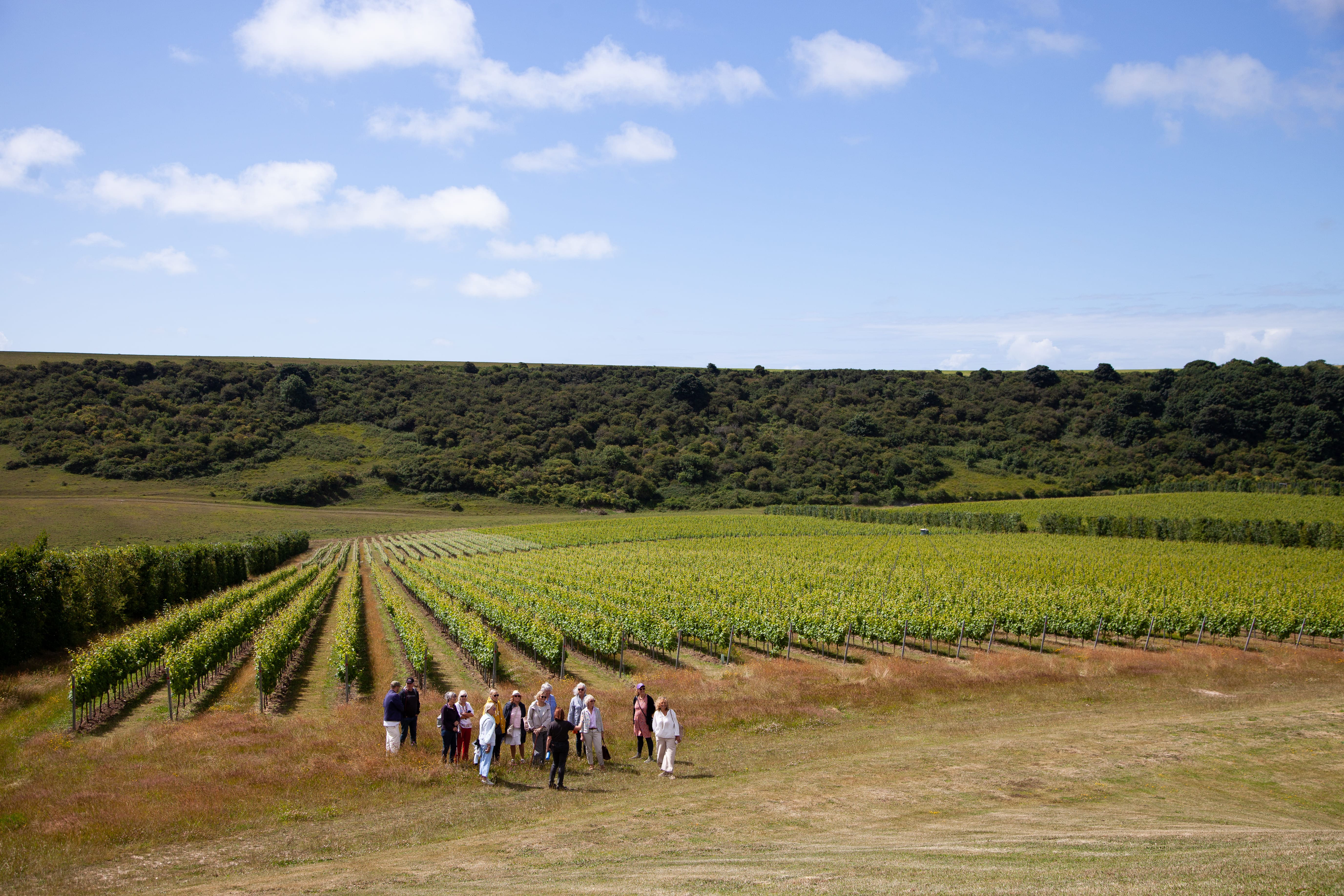 Rathfinny Wine Estate photo 4