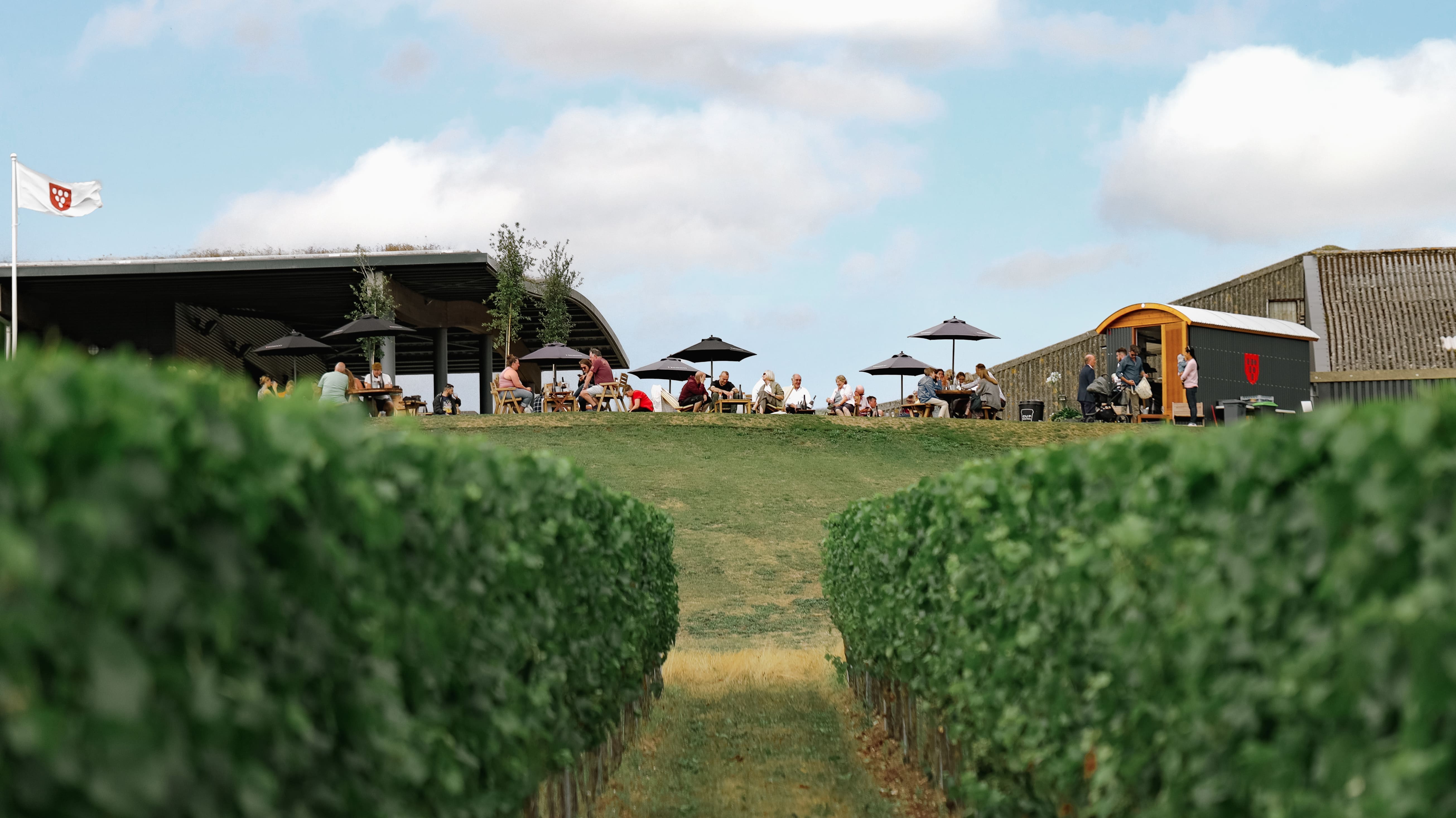 Rathfinny Wine Estate photo 7