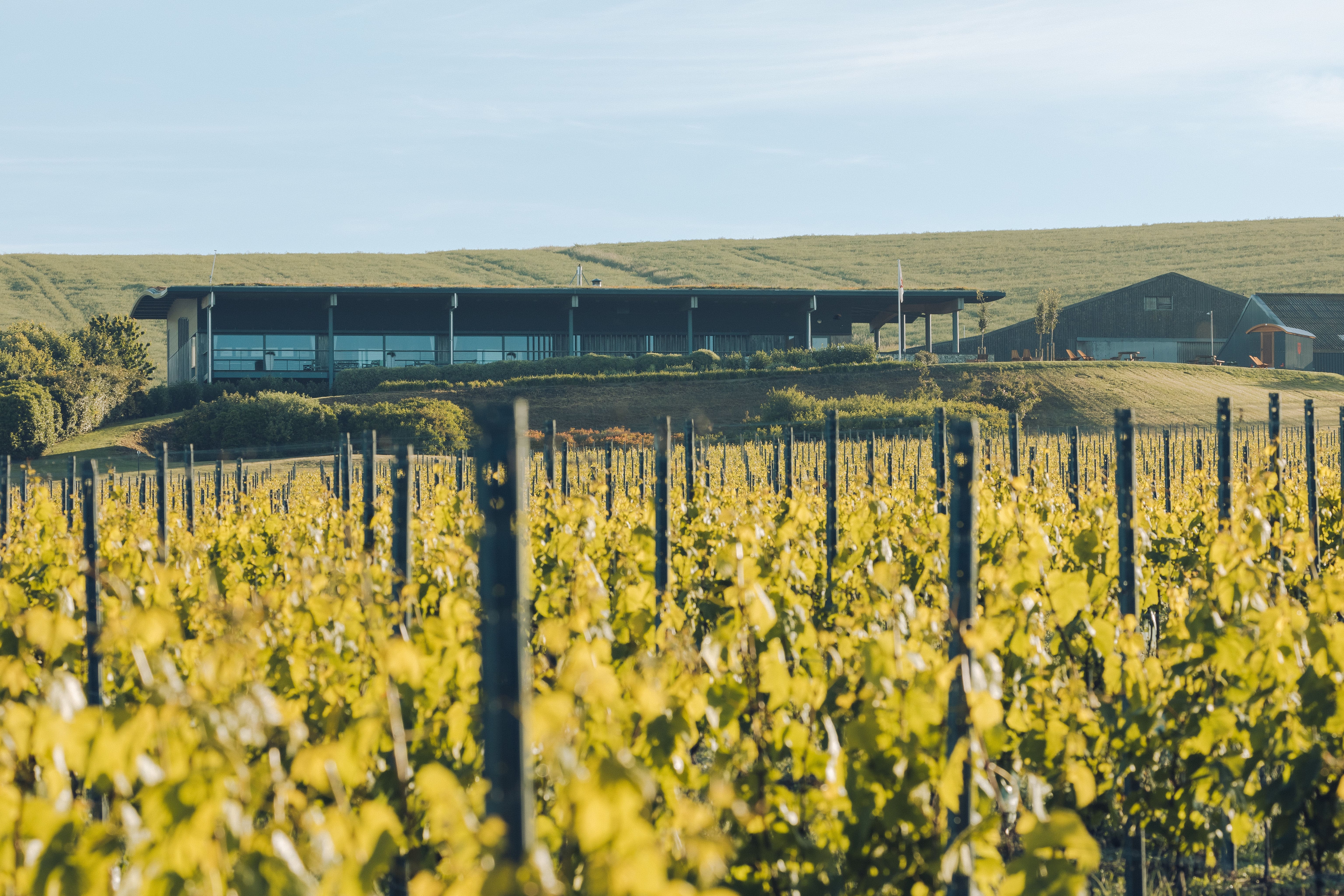 Rathfinny Wine Estate photo 8