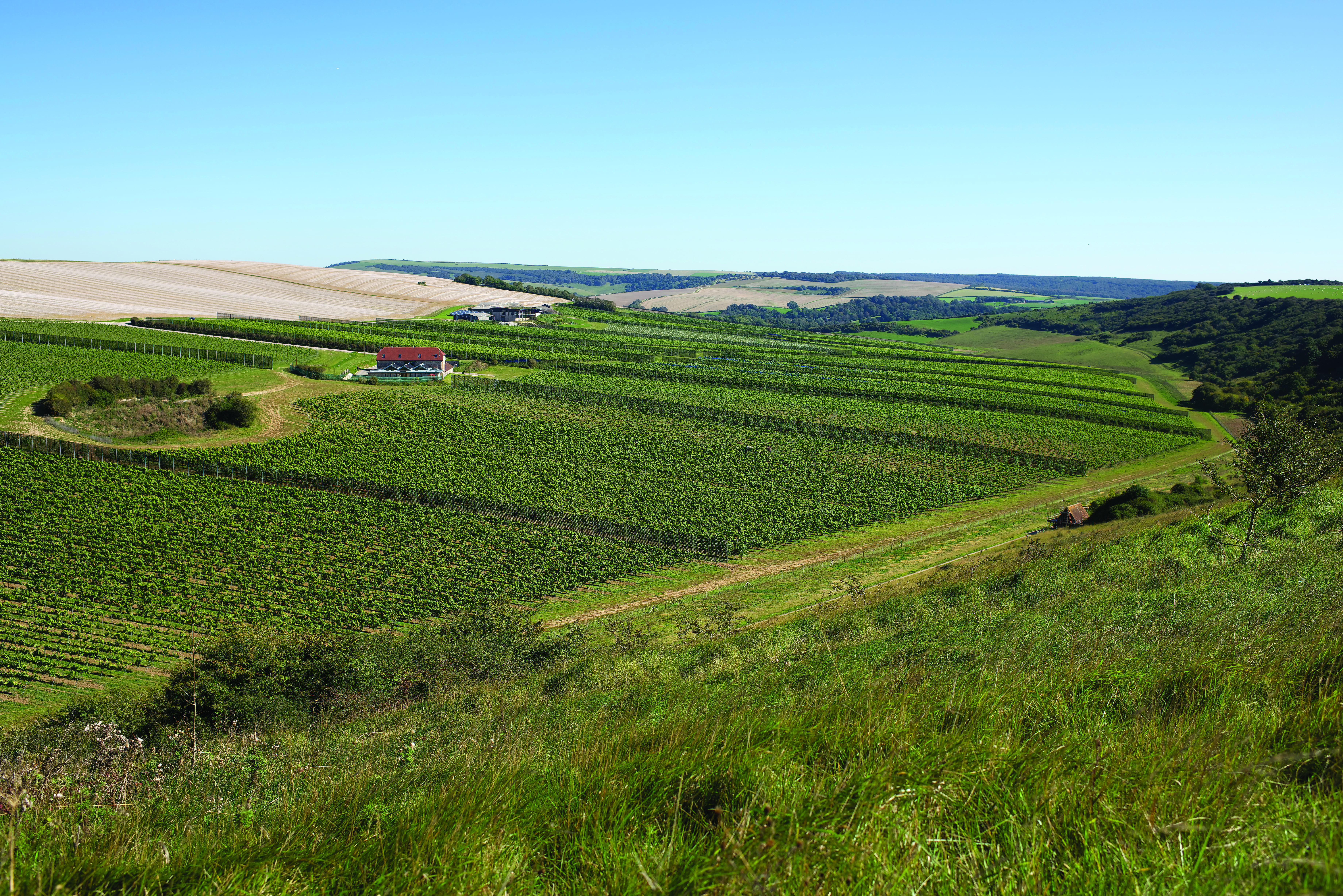 Rathfinny Wine Estate photo 6