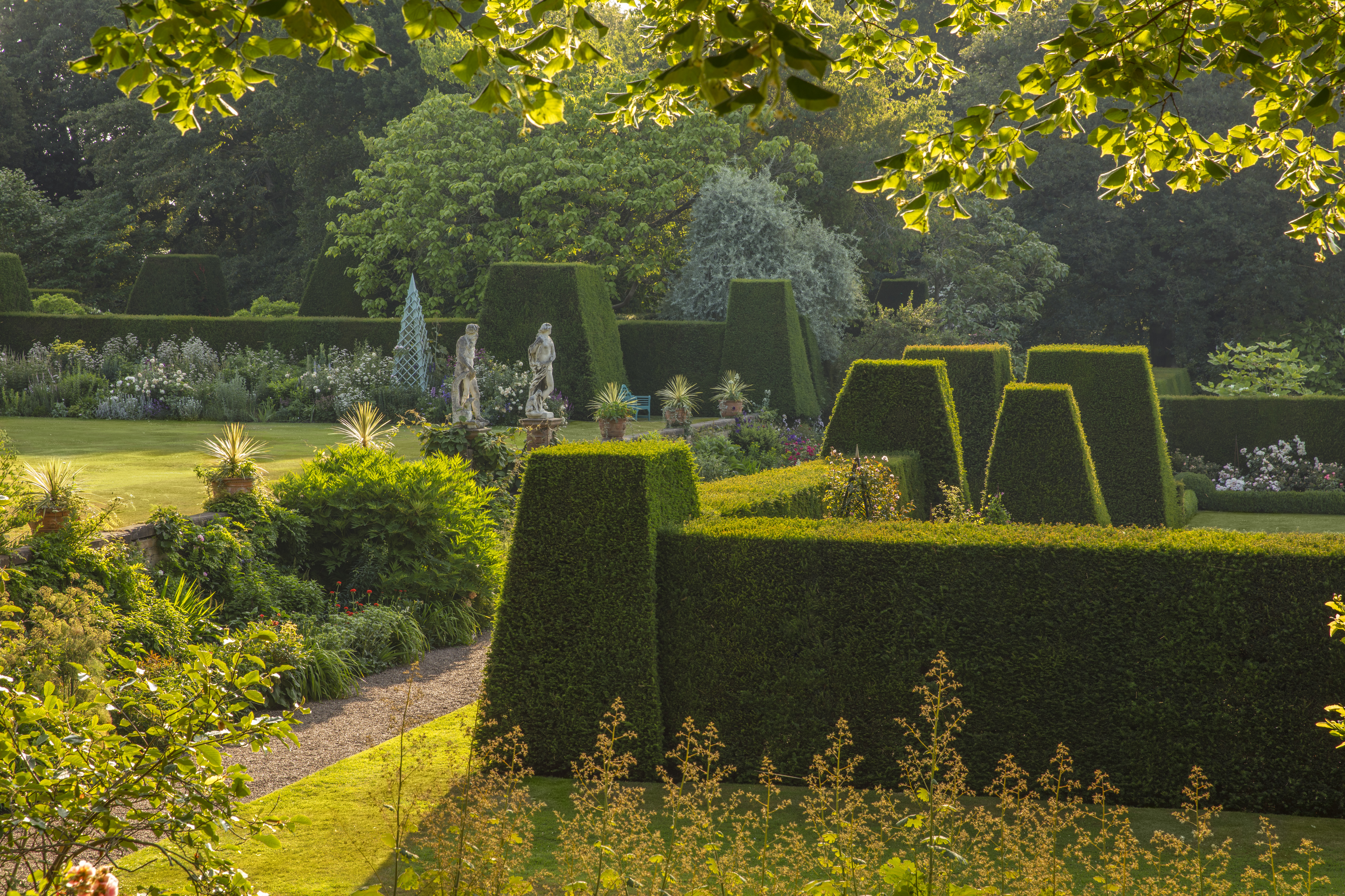 Renishaw Hall Vineyard photo 2