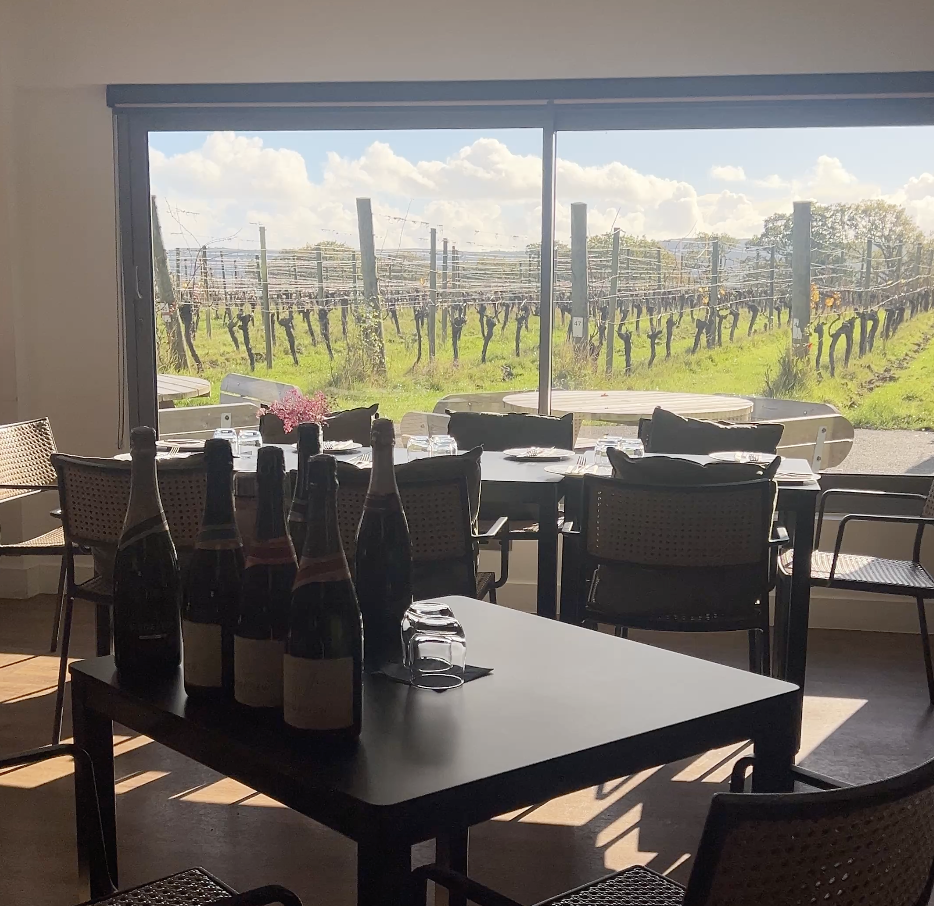 Ridgeview Wine Estate photo 2