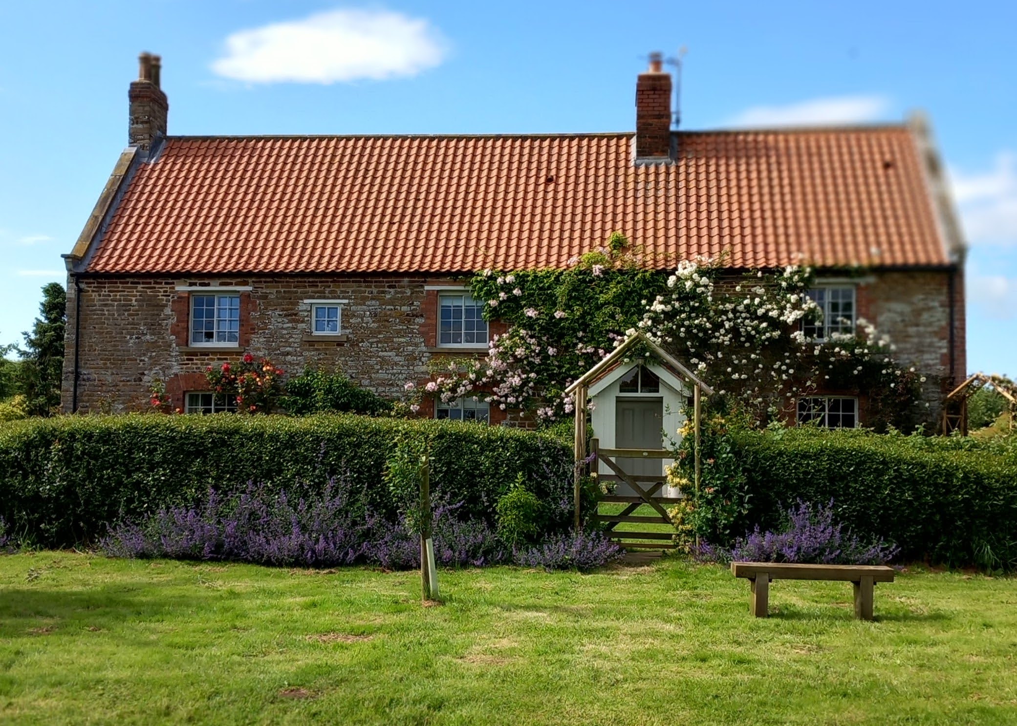 Ryedale Vineyards photo 4