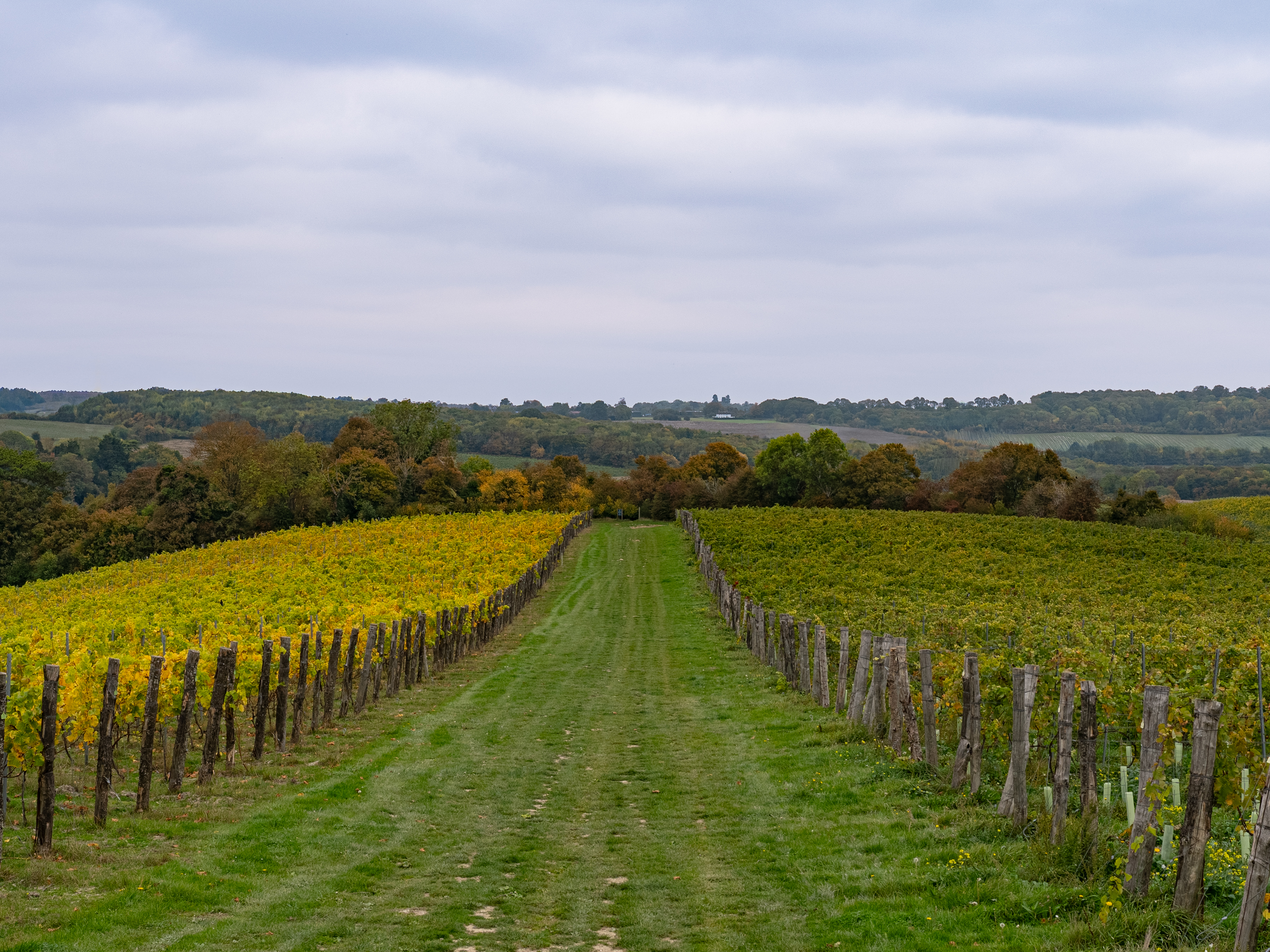 Silverhand Estate photo 4