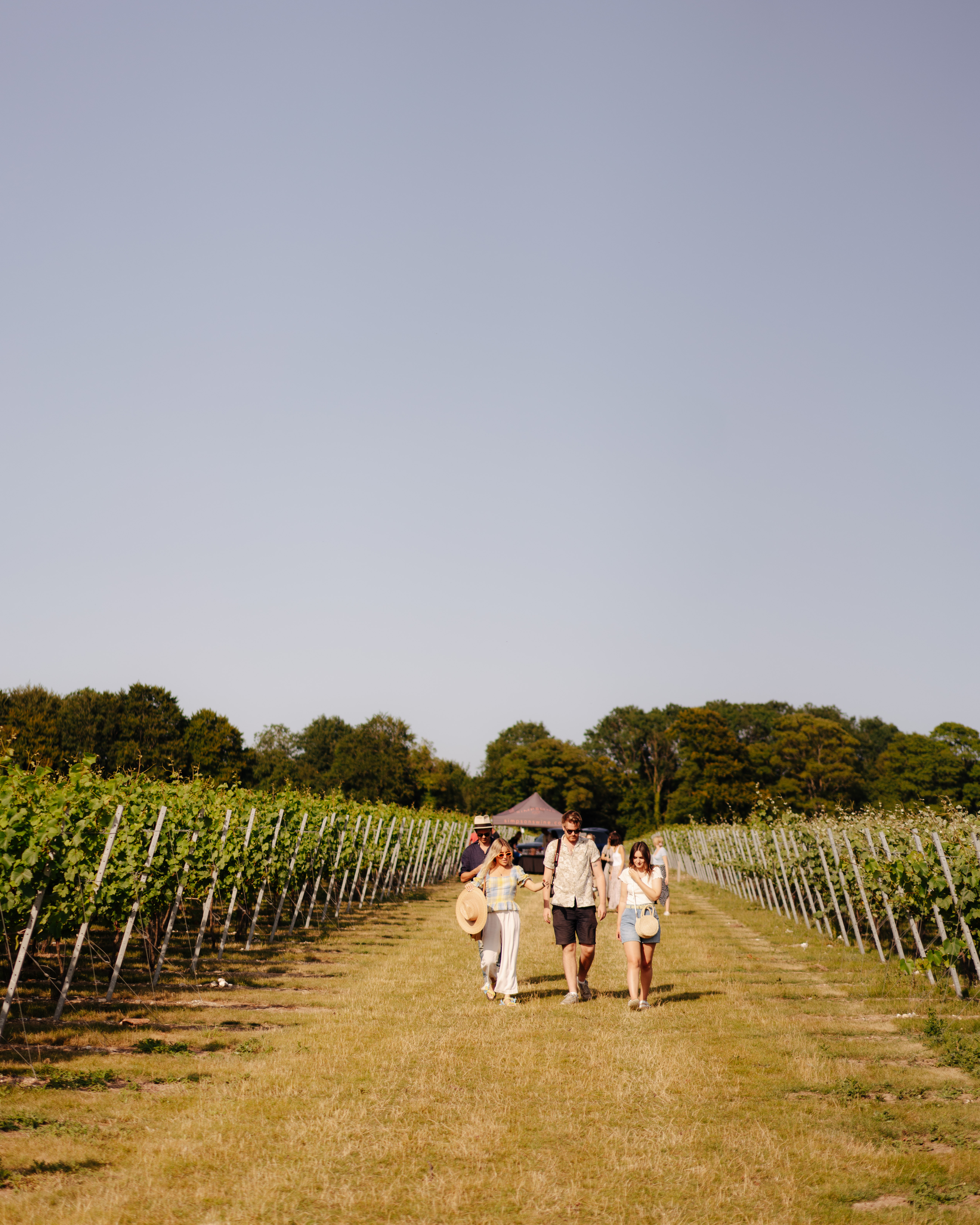 Simpsons Wine Estate photo 4