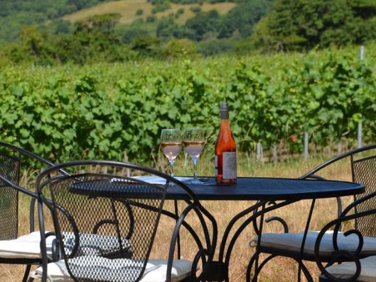 Smith And Evans Wines photo 4