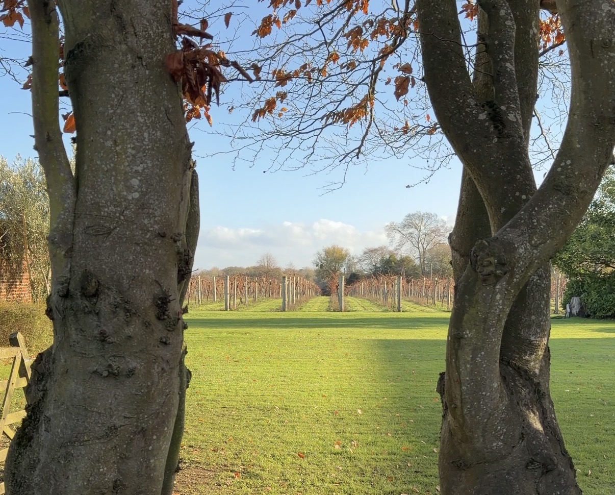 Stanlake Park Wine Estate main photo