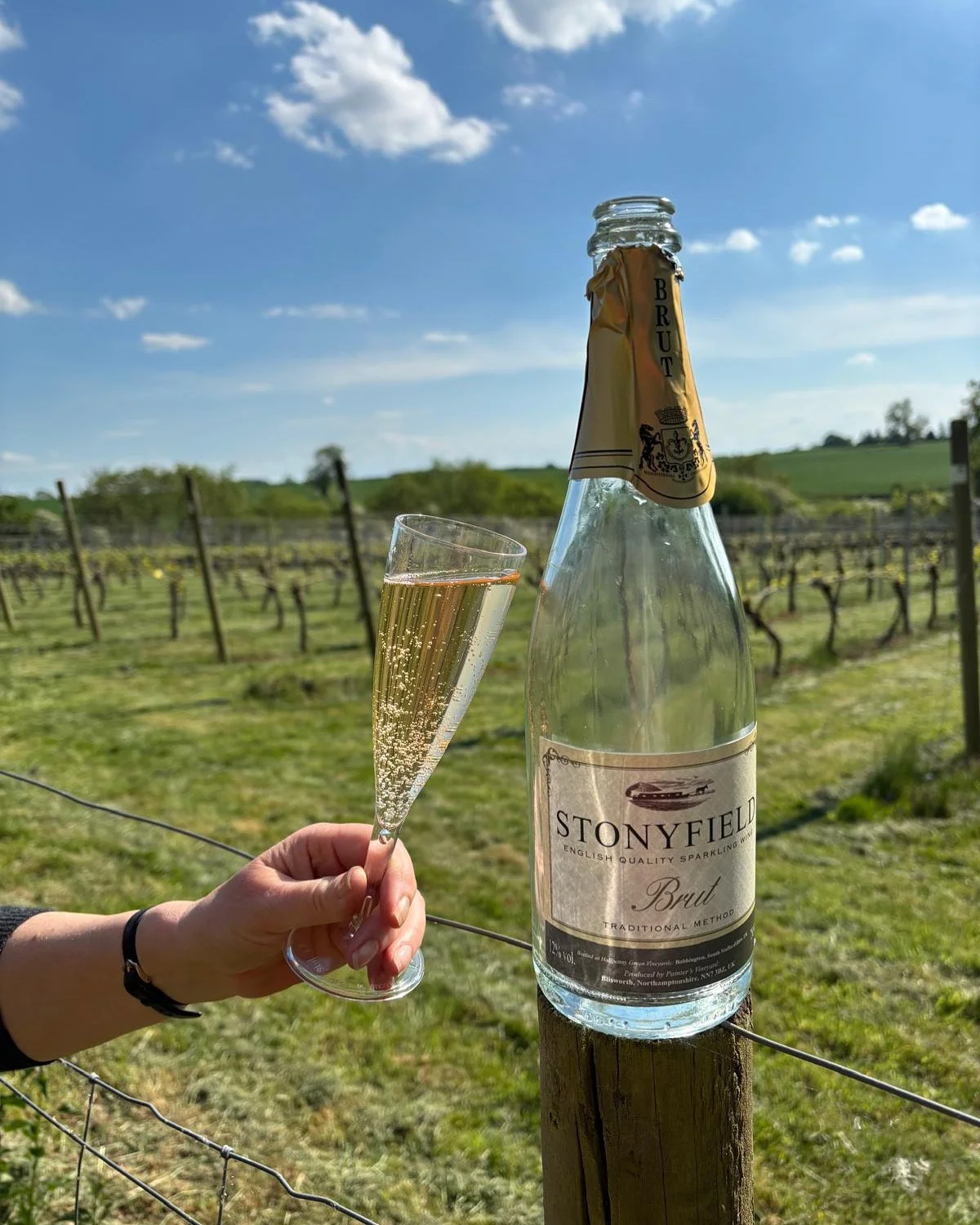 Stonyfield Wine photo 3