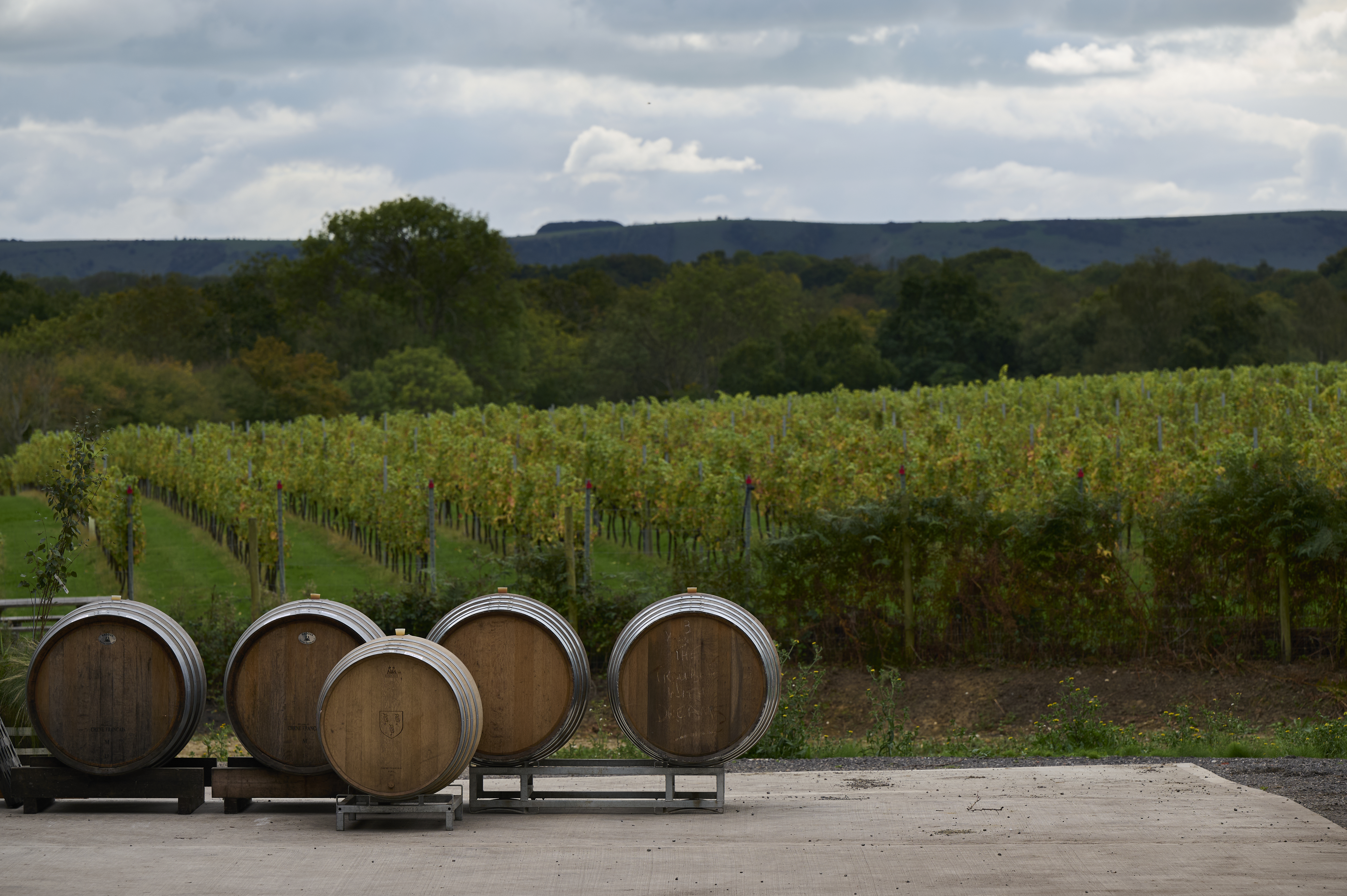 Sugrue South Downs photo 4