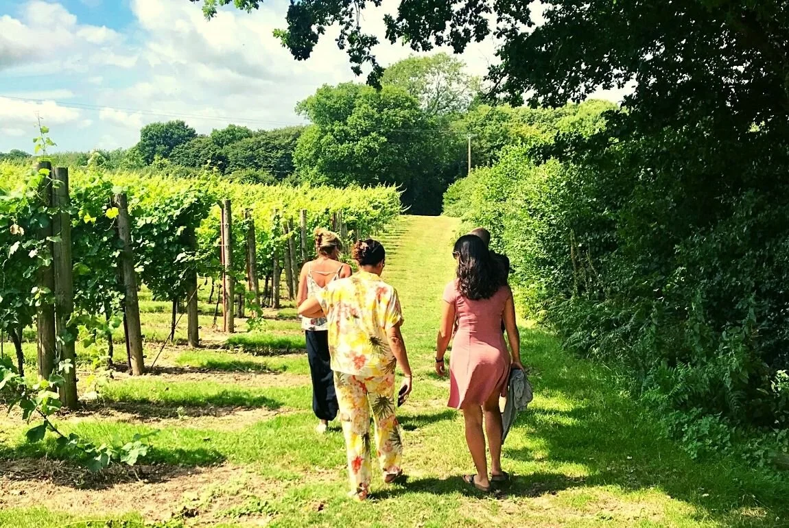 Tickerage Wine At Blackboys Vineyard photo 2